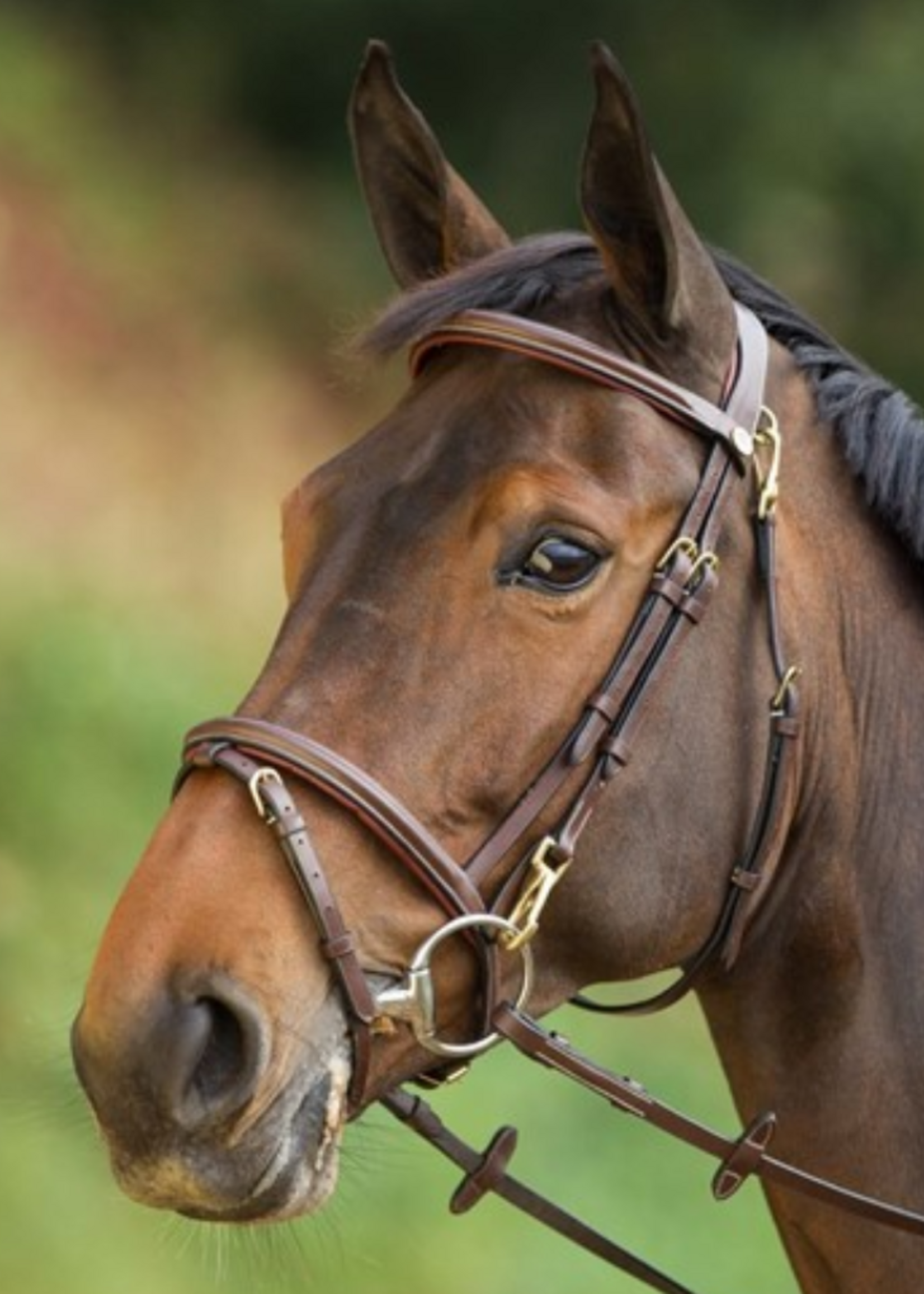 HFI HFI Functional Hoofdstel HFI003