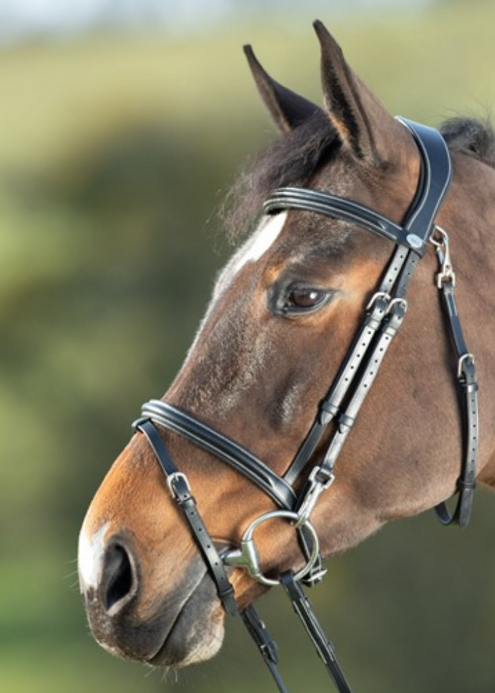 HFI HFI Functional Hoofdstel HFI003