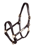 Premiere Premiere  Leren Halster