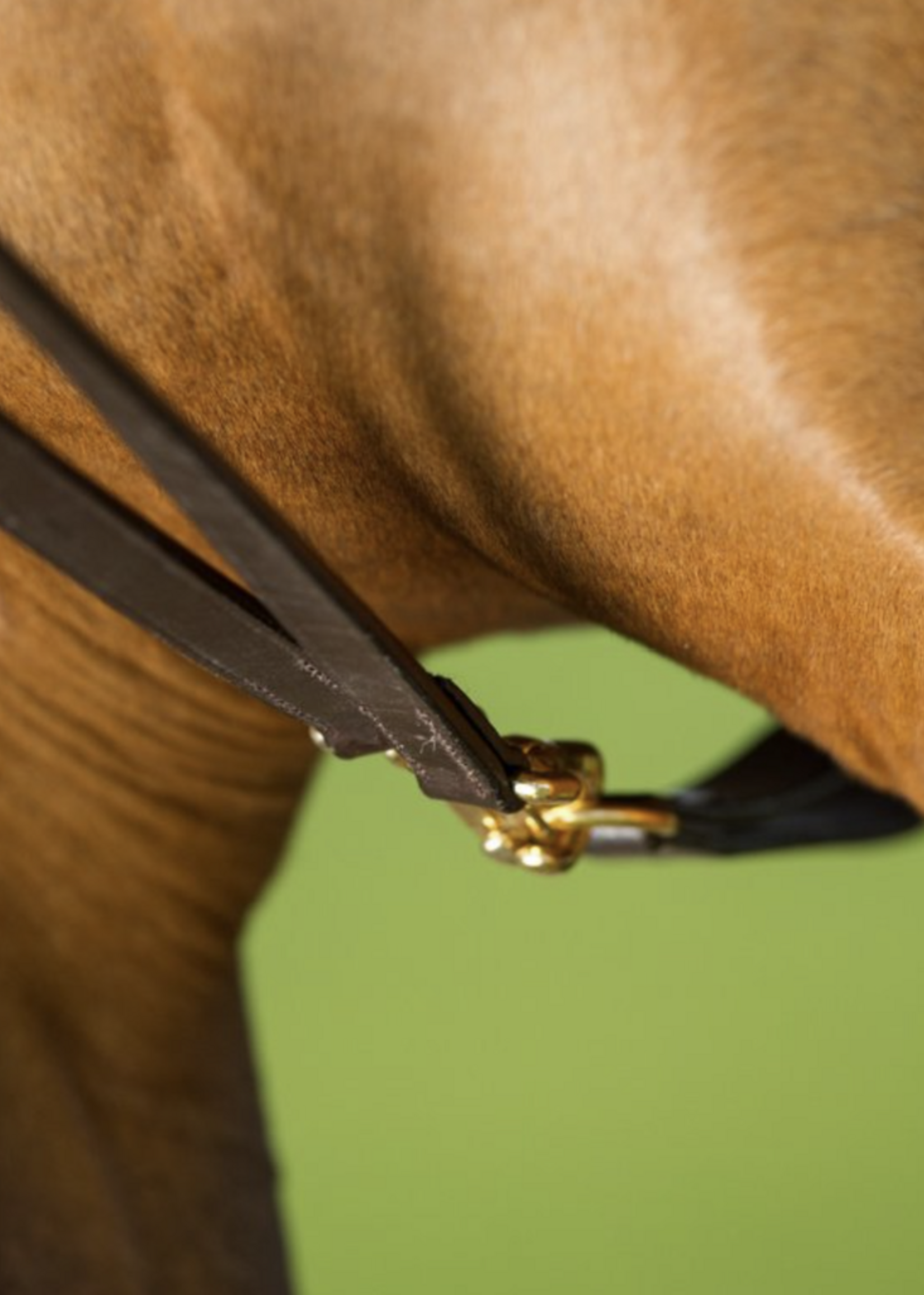 HFI HFI Slofteugel Leer