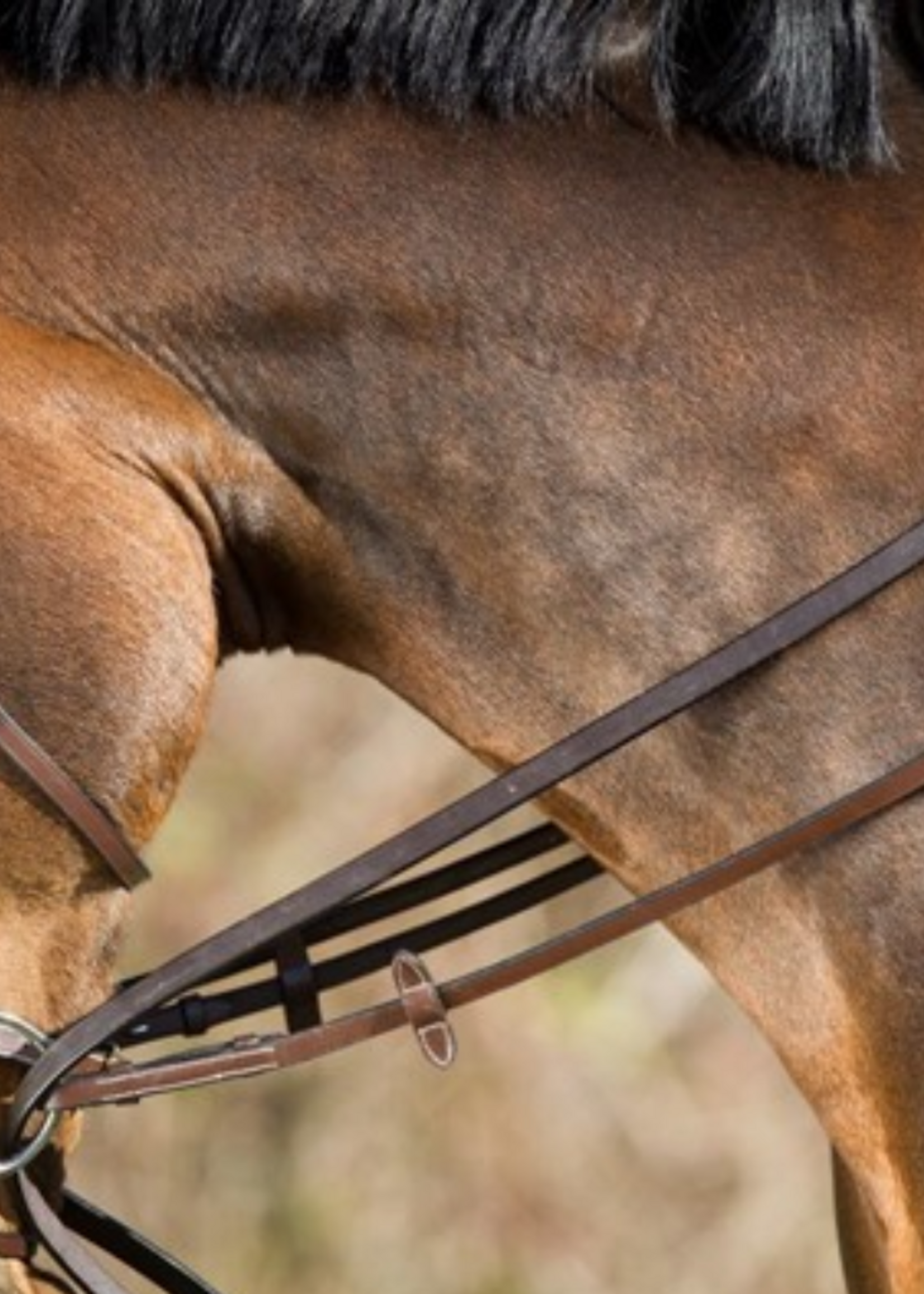 HFI HFI Slofteugel Leer