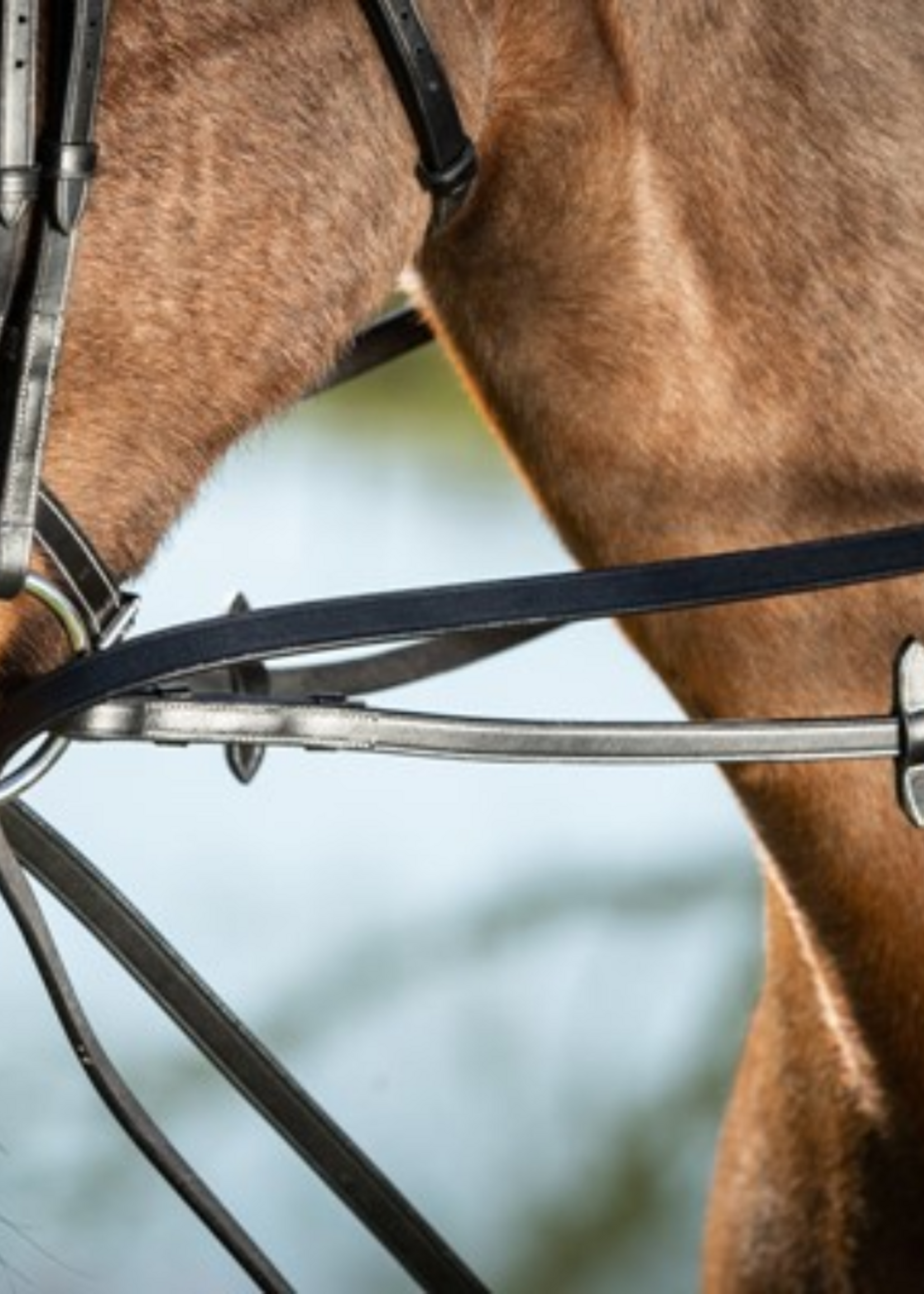 HFI HFI Slofteugel Leer