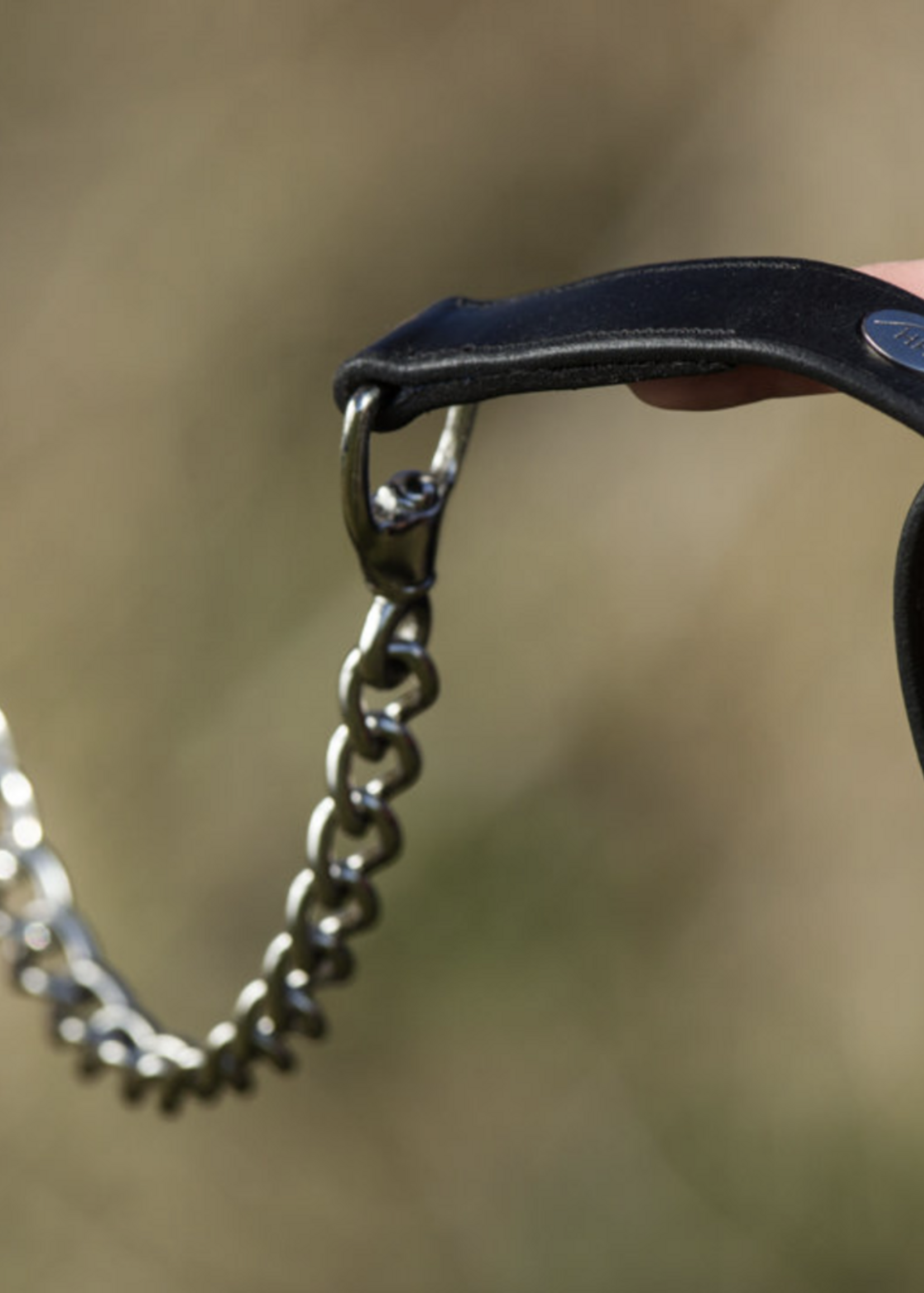 HFI HFI Hengstenketting HFI139