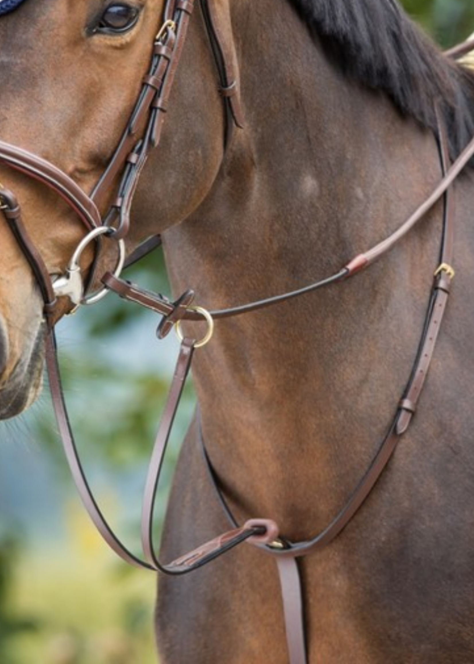 HFI HFI Martingale HFI107