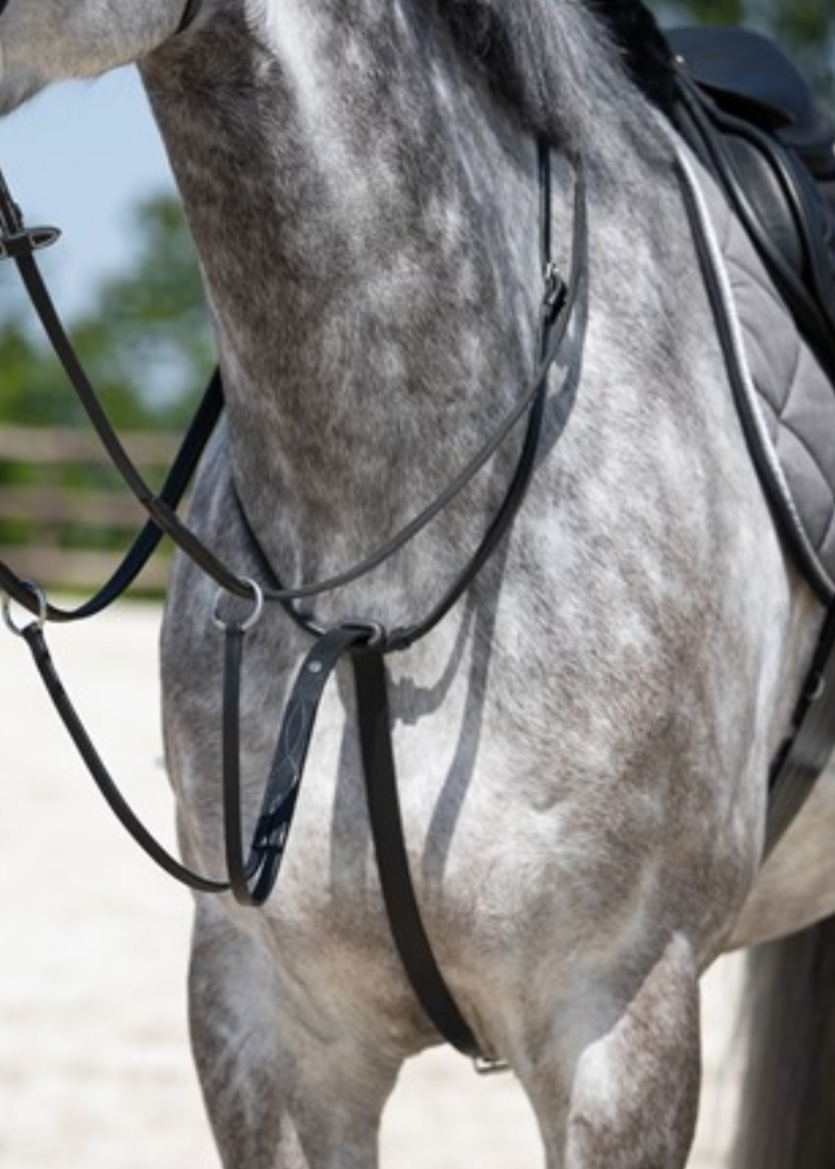 HFI HFI Martingale HFI107