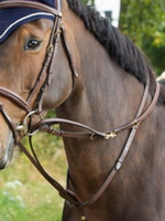 HFI HFI Thiedeman Teugel