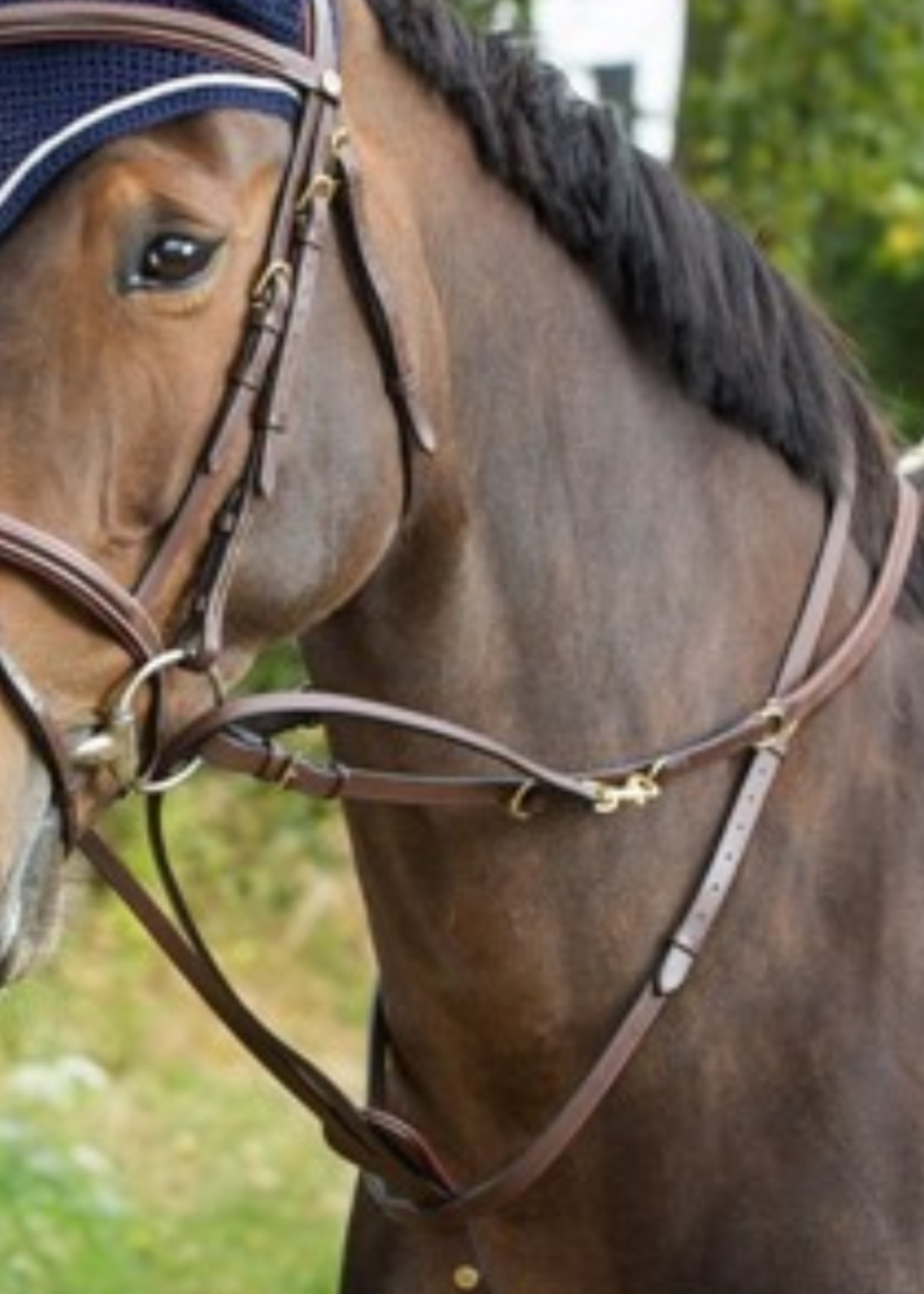 HFI HFI Thiedeman Teugel