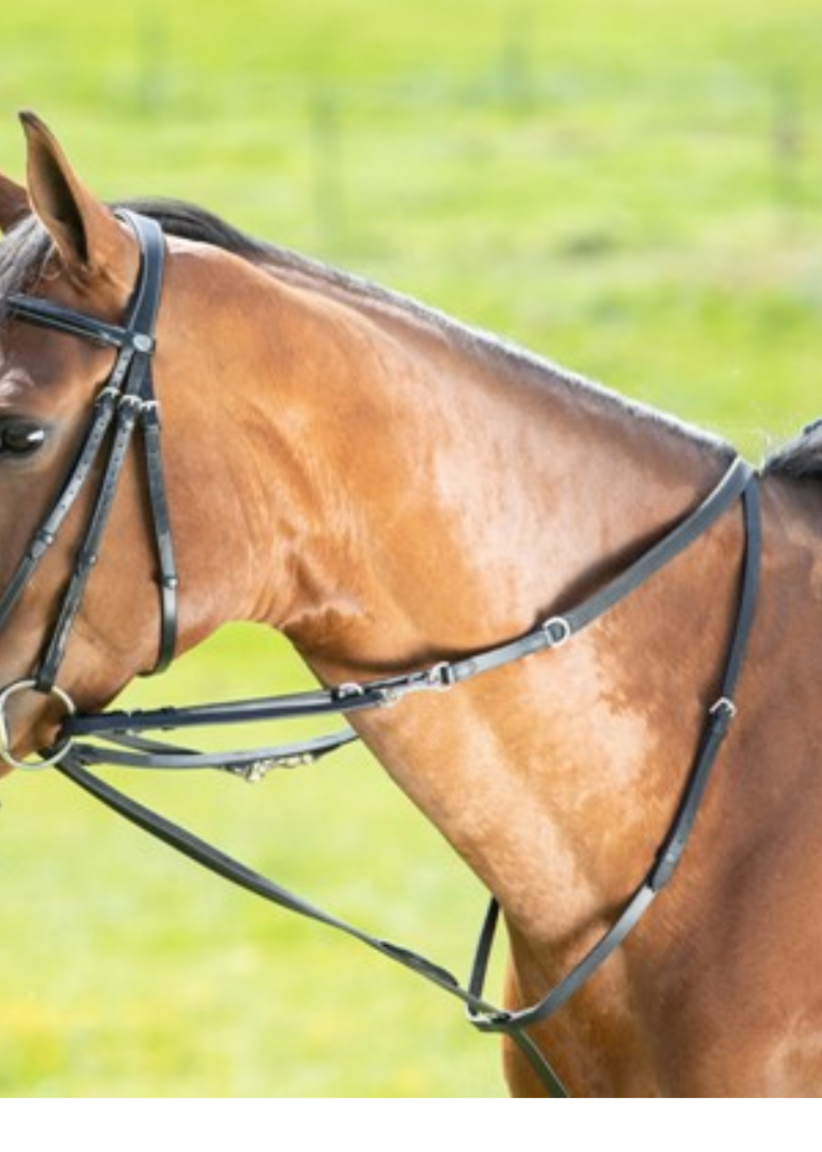 HFI HFI Thiedeman Teugel