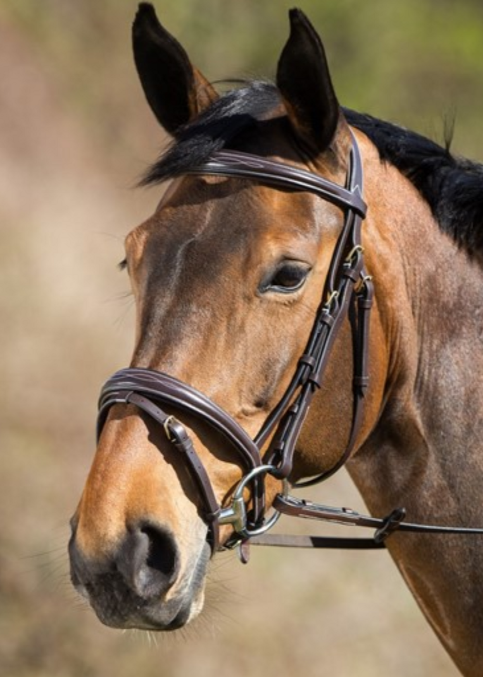 HFI HFI Elegant  Hoofdstel HFI708