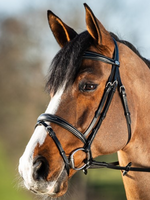 HFI HFI Elegant  Hoofdstel