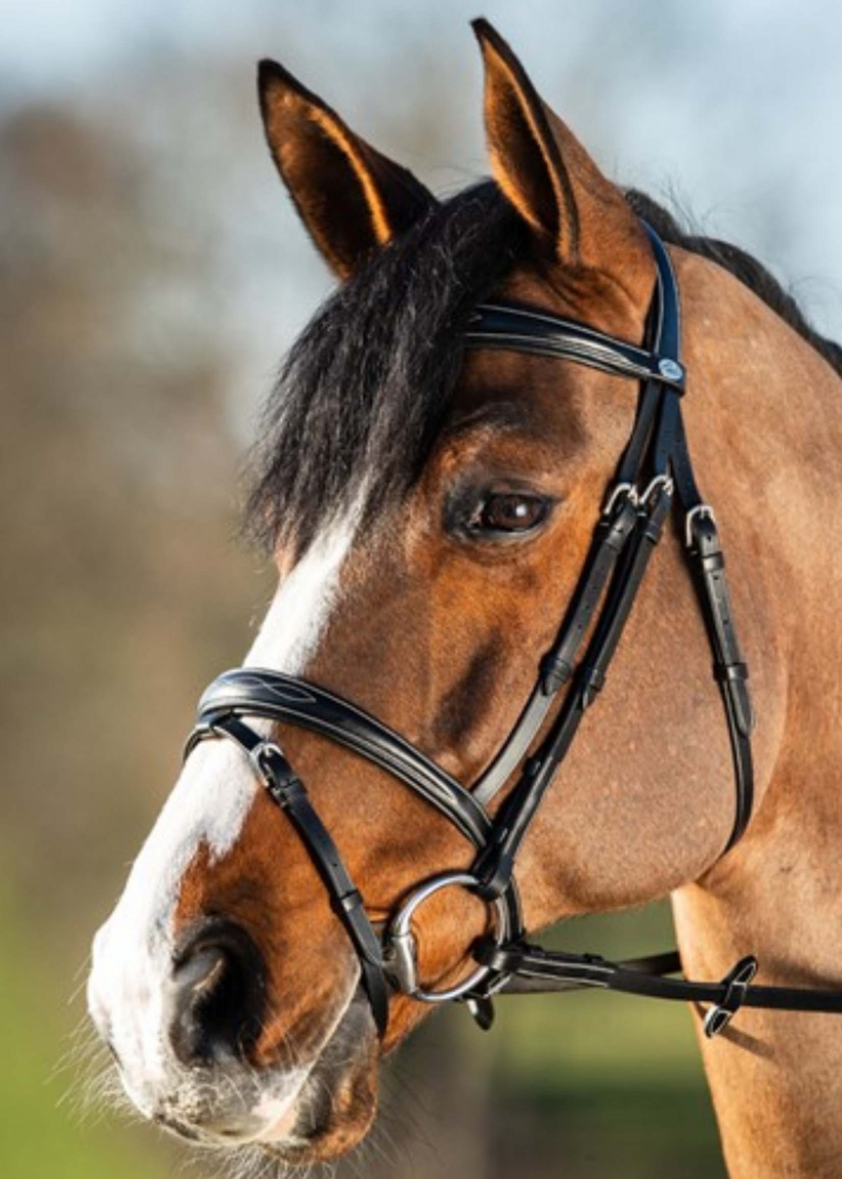 HFI HFI Elegant  Hoofdstel HFI708