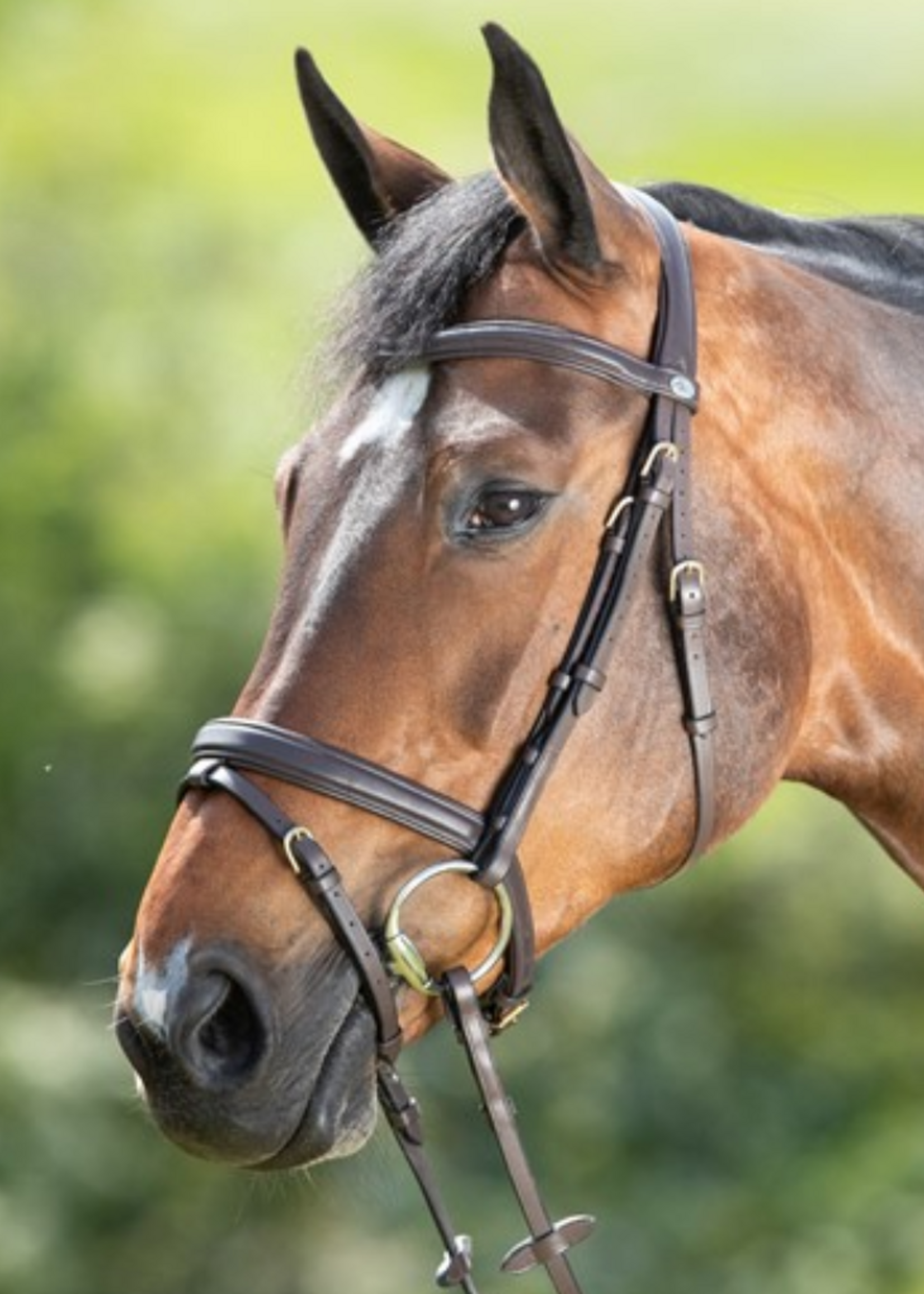 HFI HFI Soft Hoofdstel HFI015