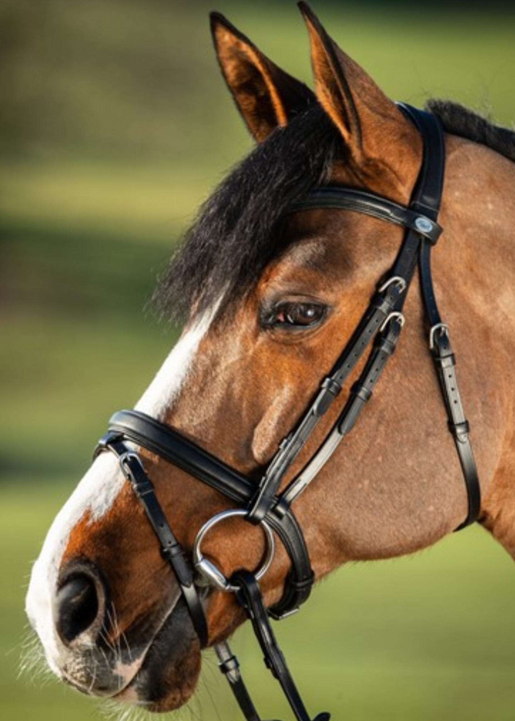 HFI HFI Soft Hoofdstel HFI015