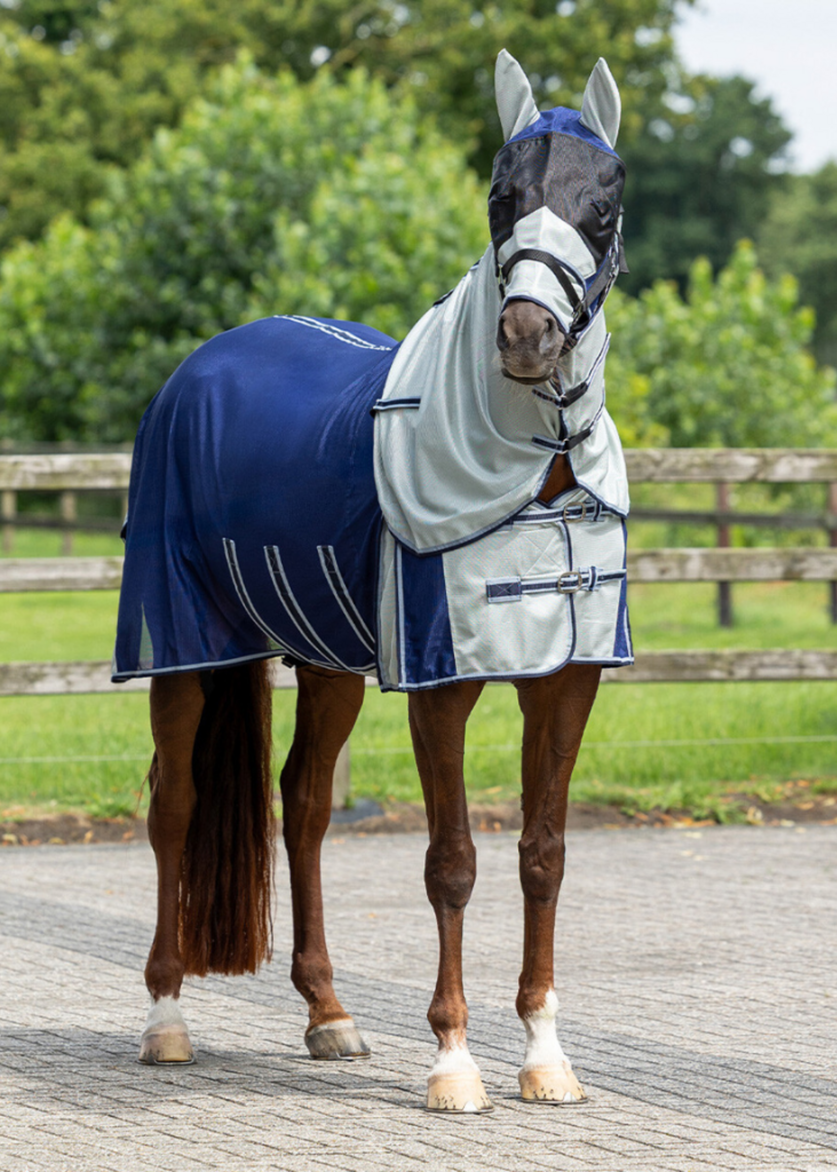 QHP QHP Pony Vliegendeken met nek en kap 6013