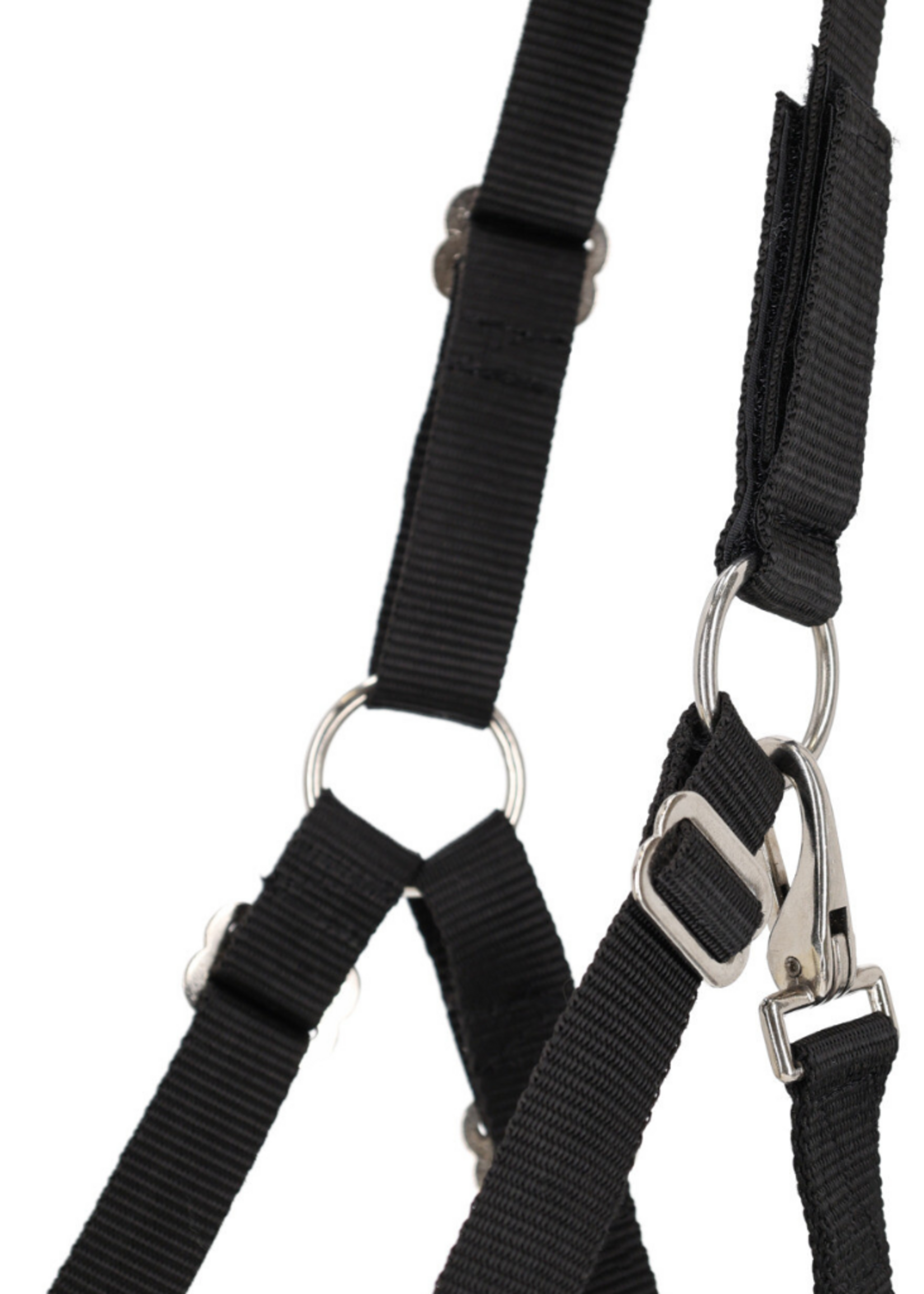 QHP QHP Grasmasker Bont M Neusgaten 5669