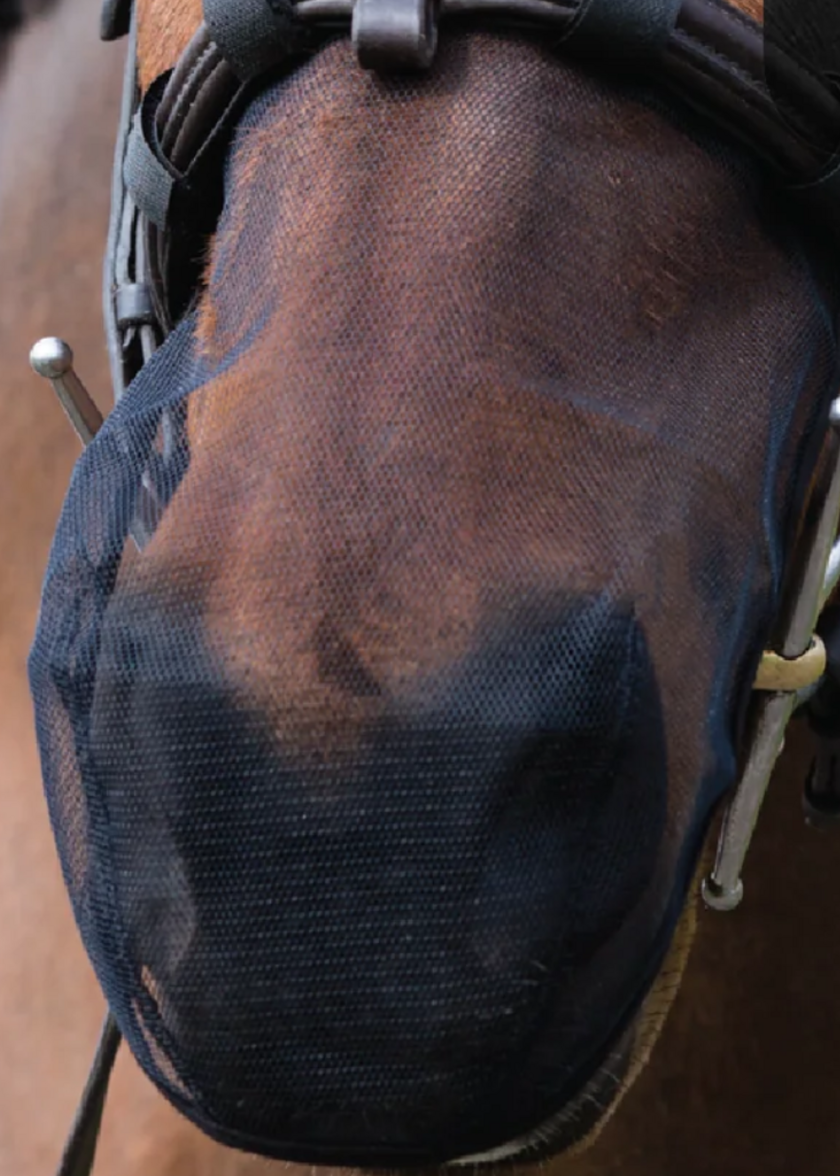 Equilibrium Equilibrium Pollen Neusnet (3stuks)