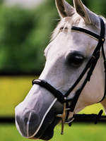 Equilibrium Equilibrium  Pollen Neusnet (3stuks)