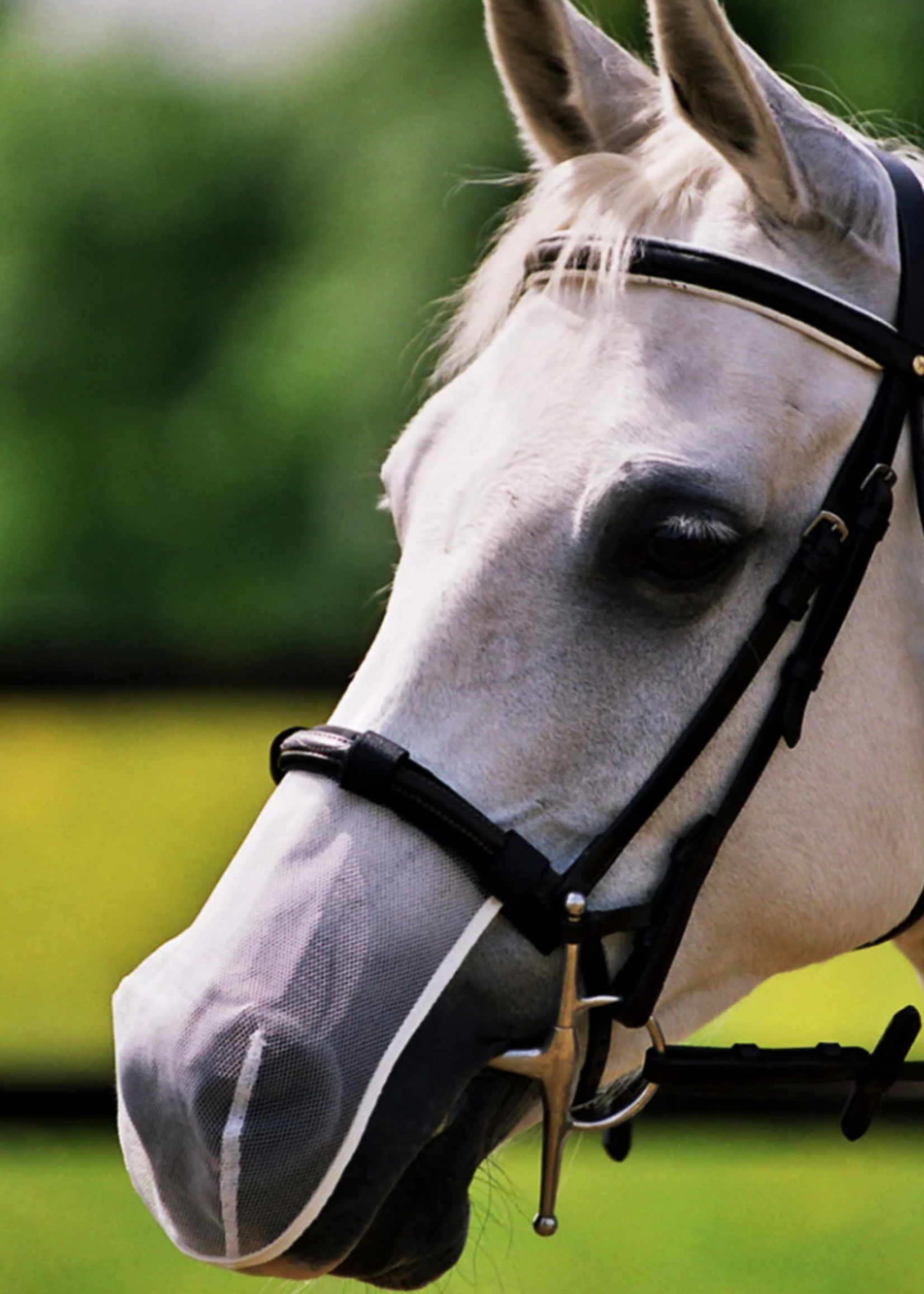 Equilibrium Equilibrium Pollen Neusnet (3stuks)