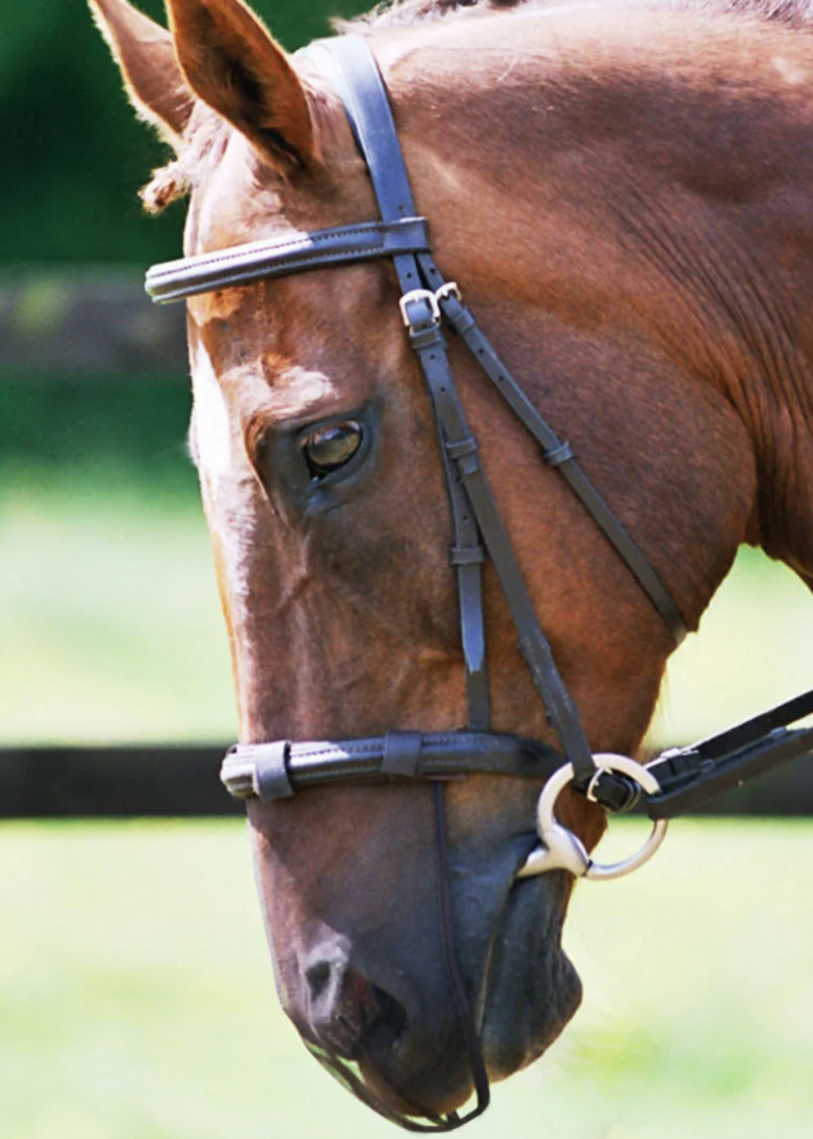 Equilibrium Equilibrium Pollen Neusnet (3stuks)