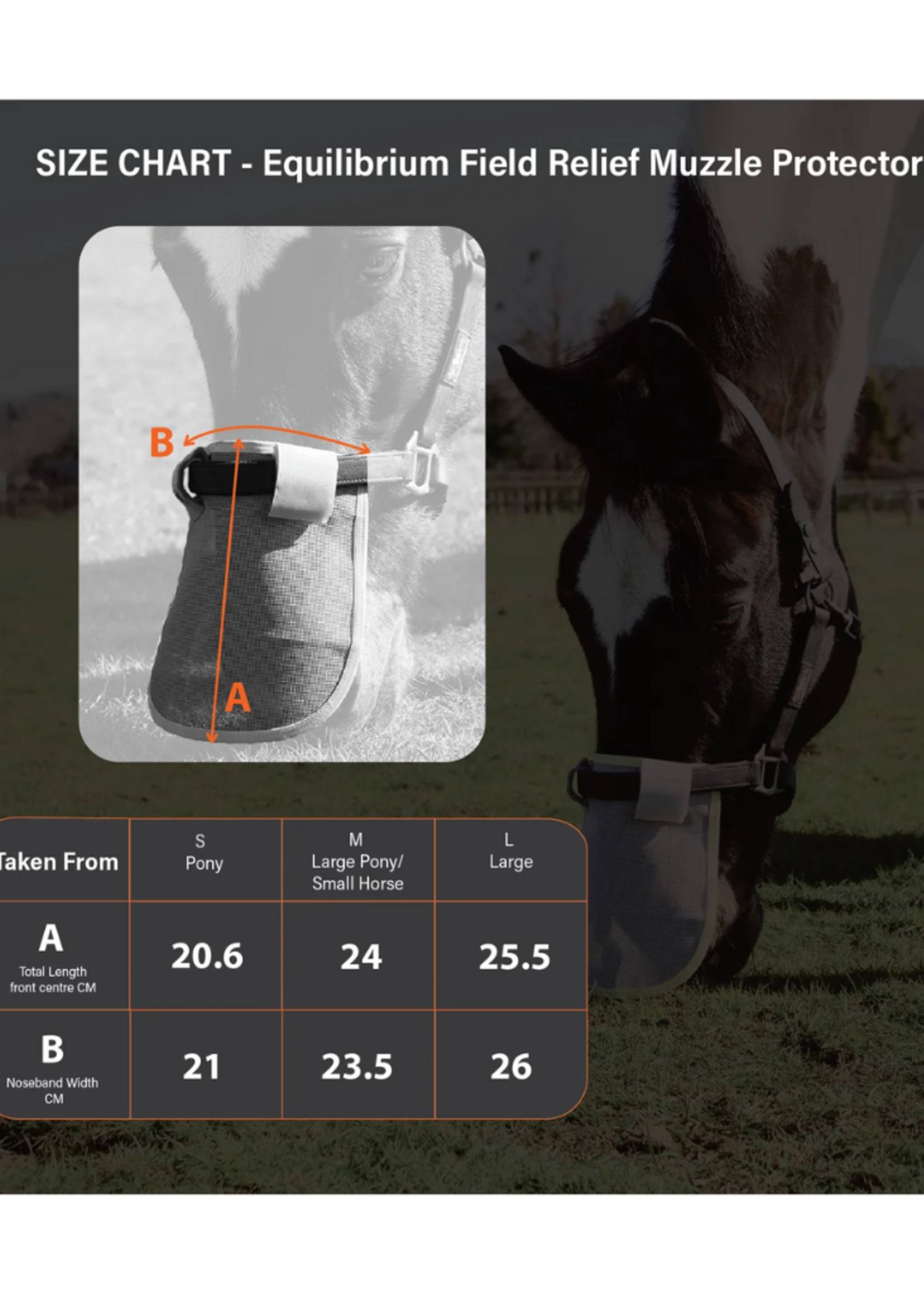 Equilibrium Equilibrium tegen zonnebrand Neusbeschermer