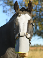 Equilibrium Equilibrium tegen zonnebrand Neusbeschermer