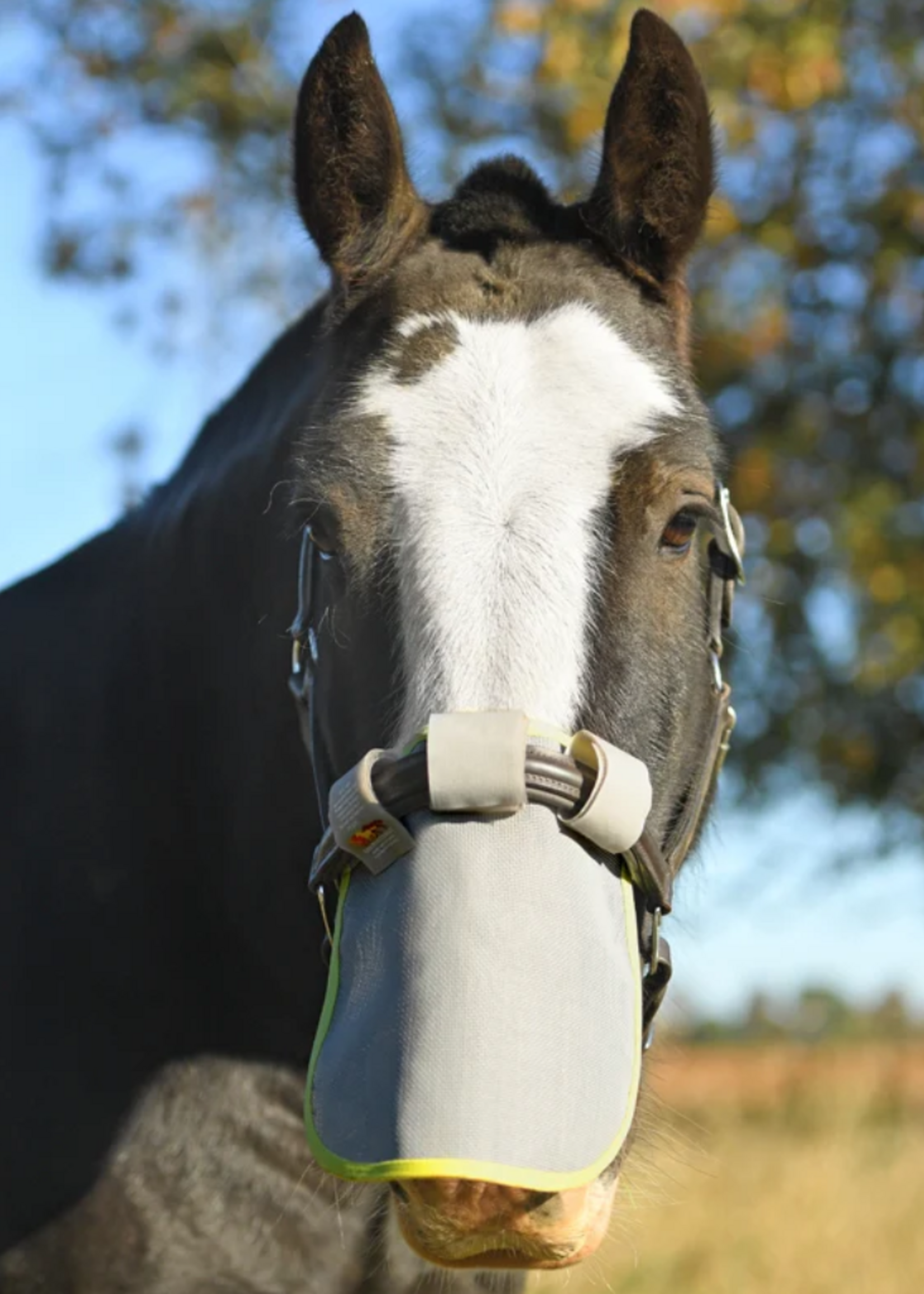 Equilibrium Equilibrium tegen zonnebrand Neusbeschermer