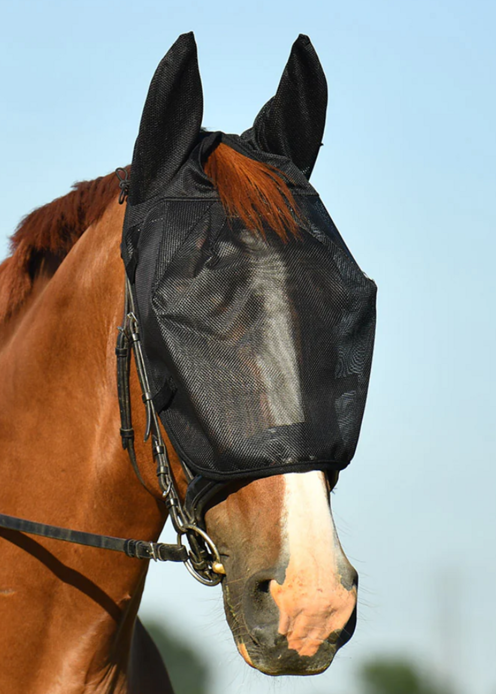 Equilibrium Equilibrium vliegenmasker om mee te rijden