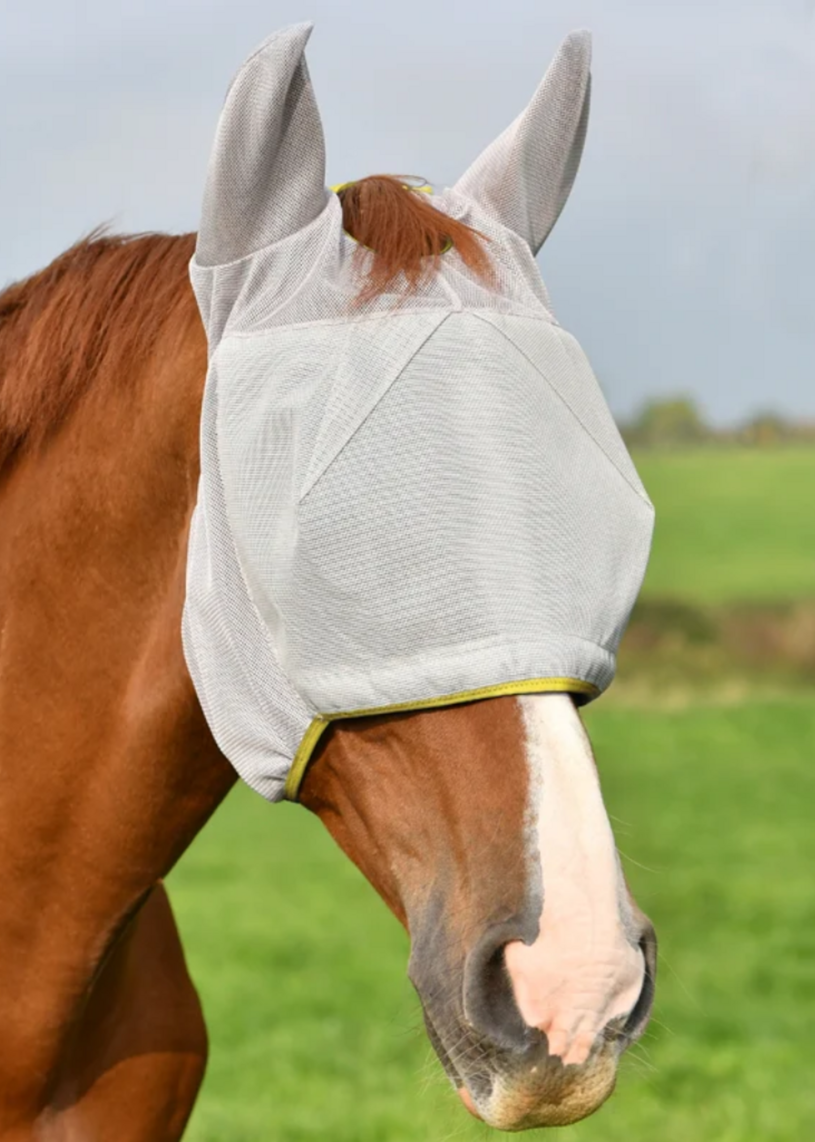 Equilibrium Equilibrium vliegenmasker met oren en zonder neus
