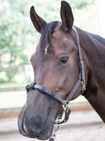 Harry’s horse Harry neusnetje