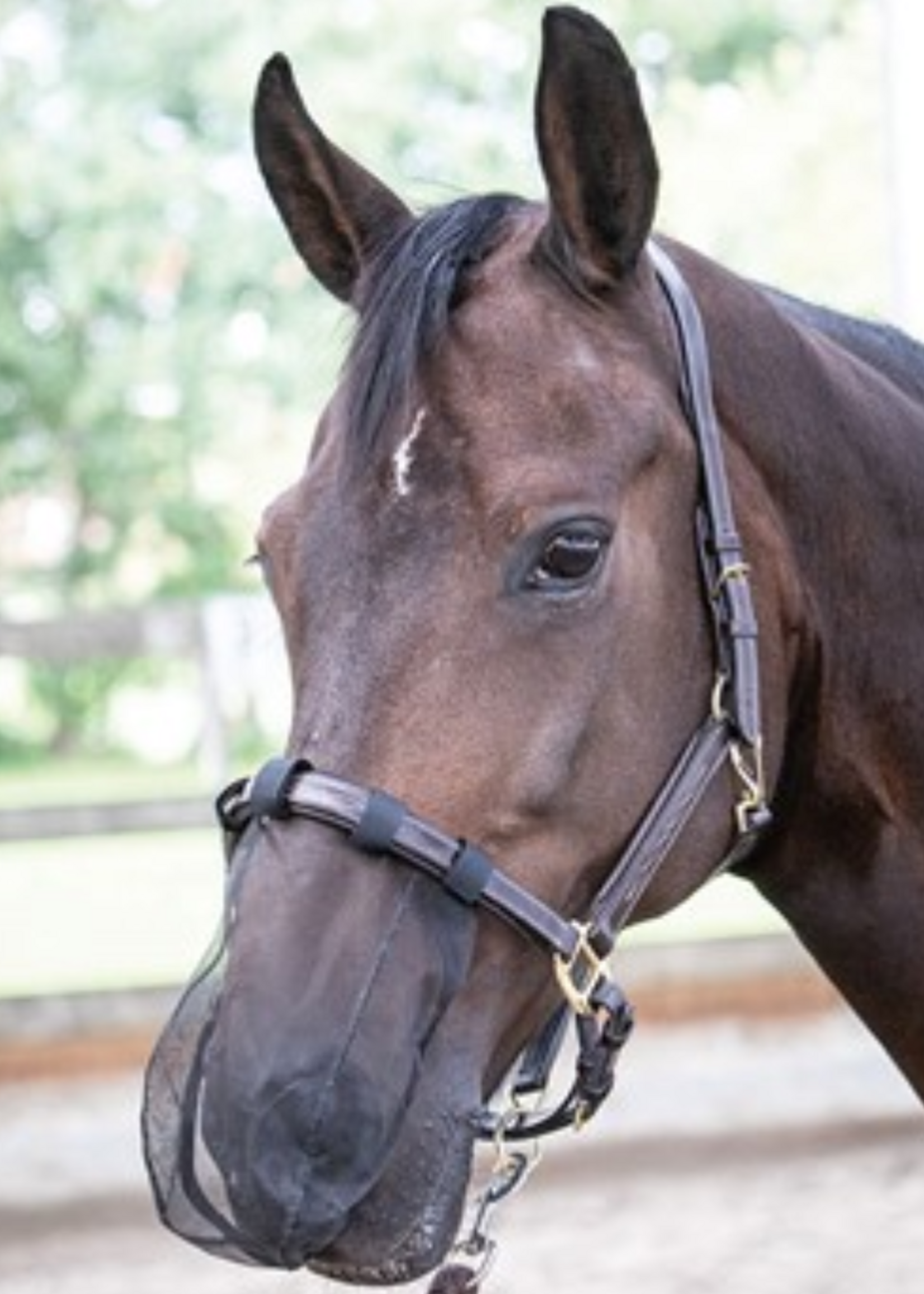 Harry’s horse Harry neusnetje 3130000