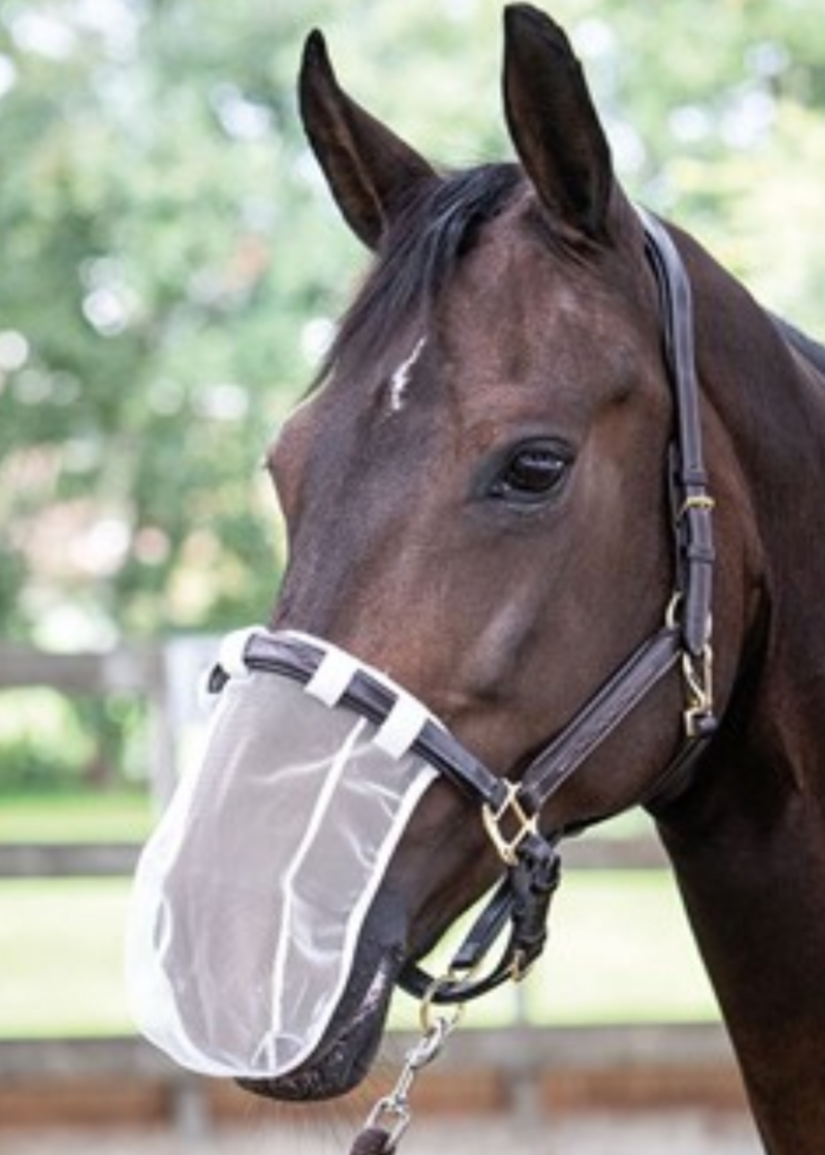 Harry’s horse Harry neusnetje 3130000