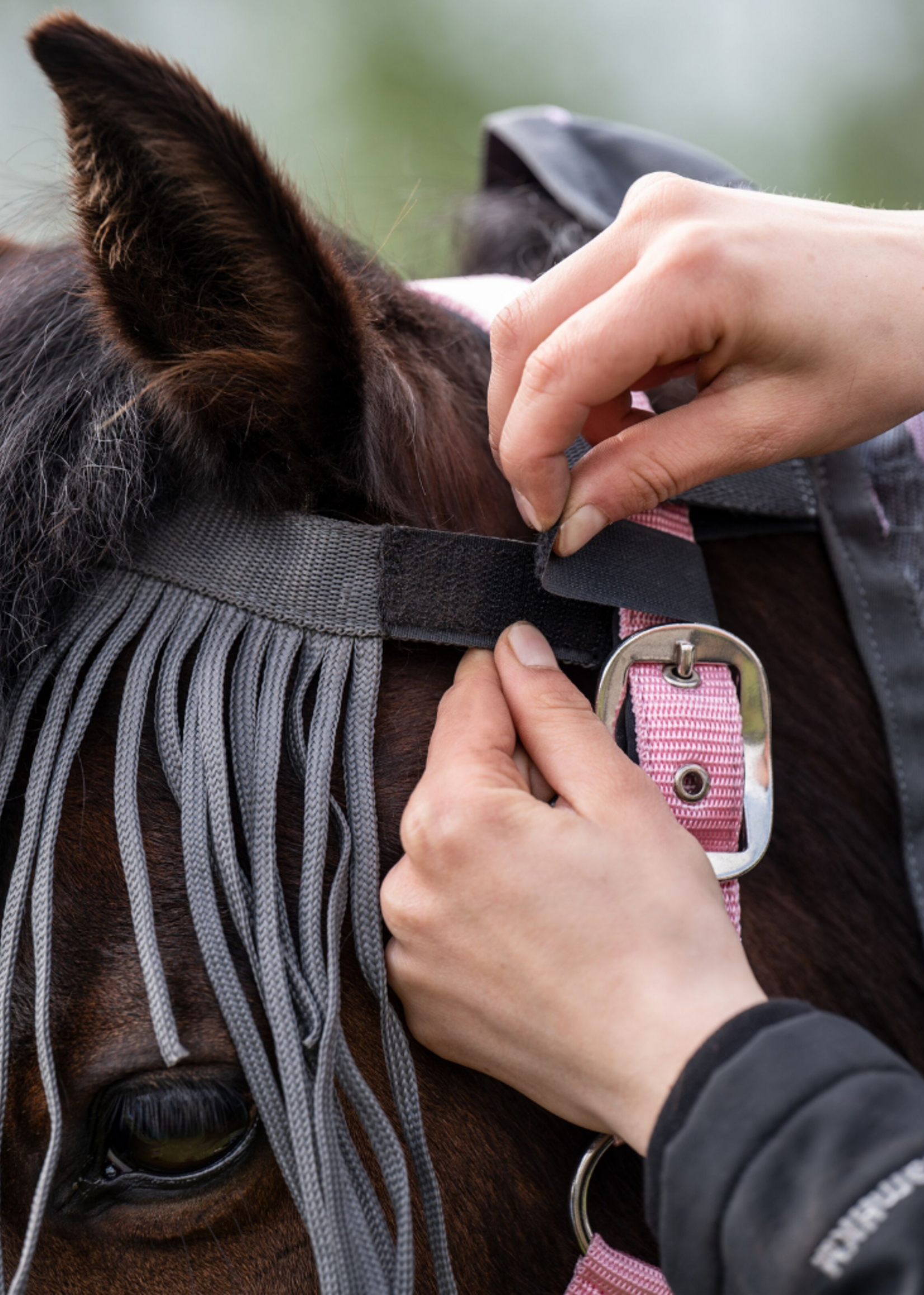HKM HKM Vliegenfrontriem