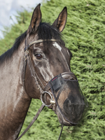 LeMieux Lemieux Neusnetje