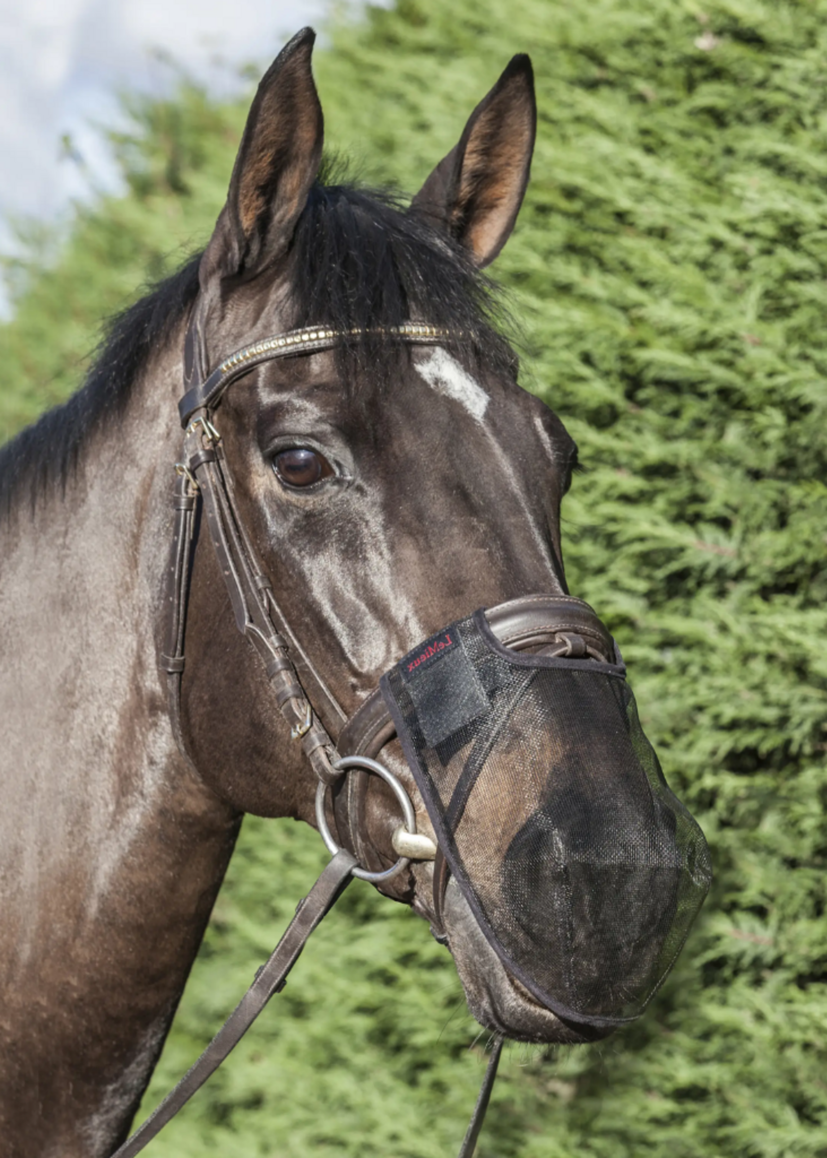 LeMieux Lemieux Neusnetje