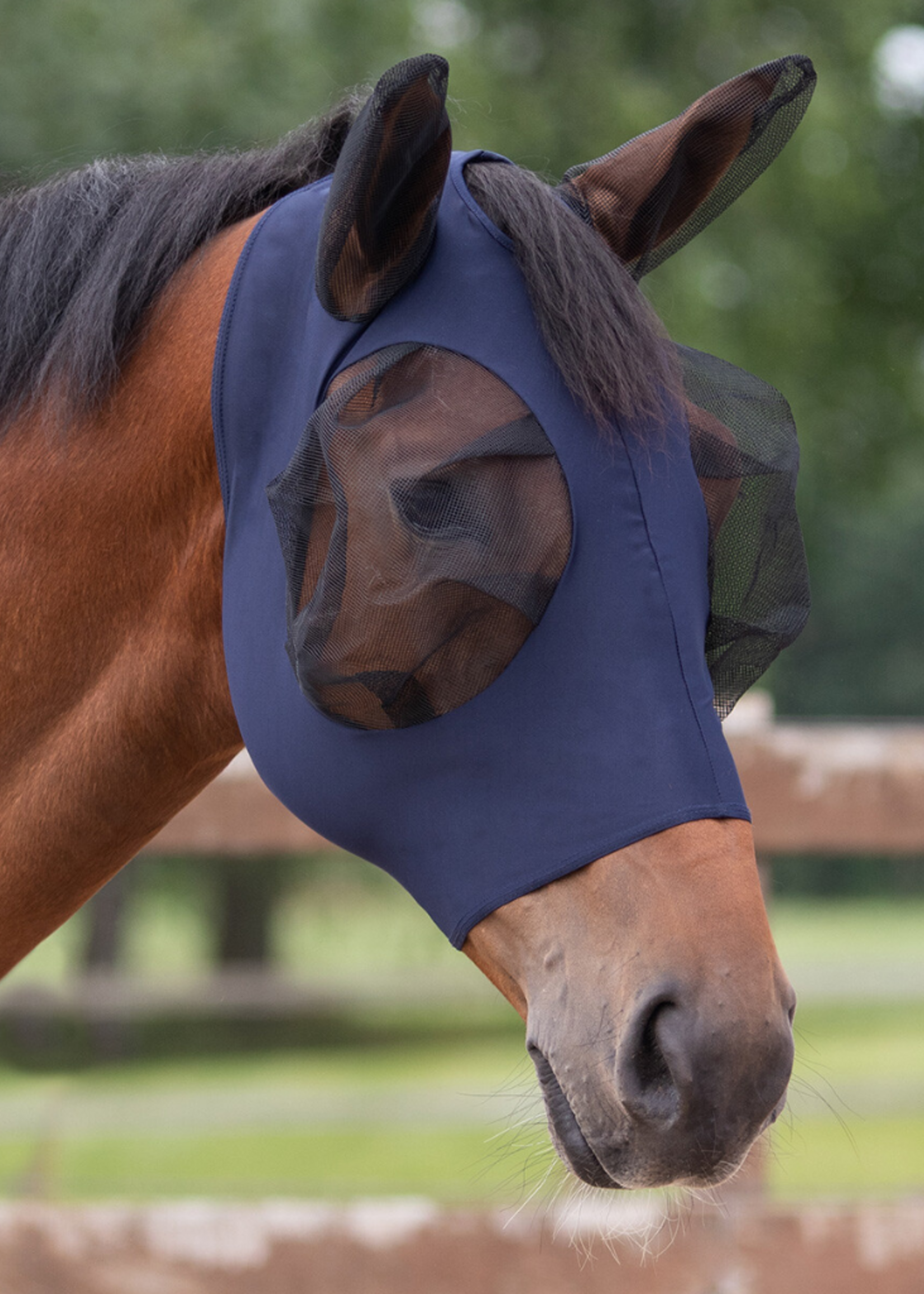 QHP QHP Super Bug Vliegenkap 5344