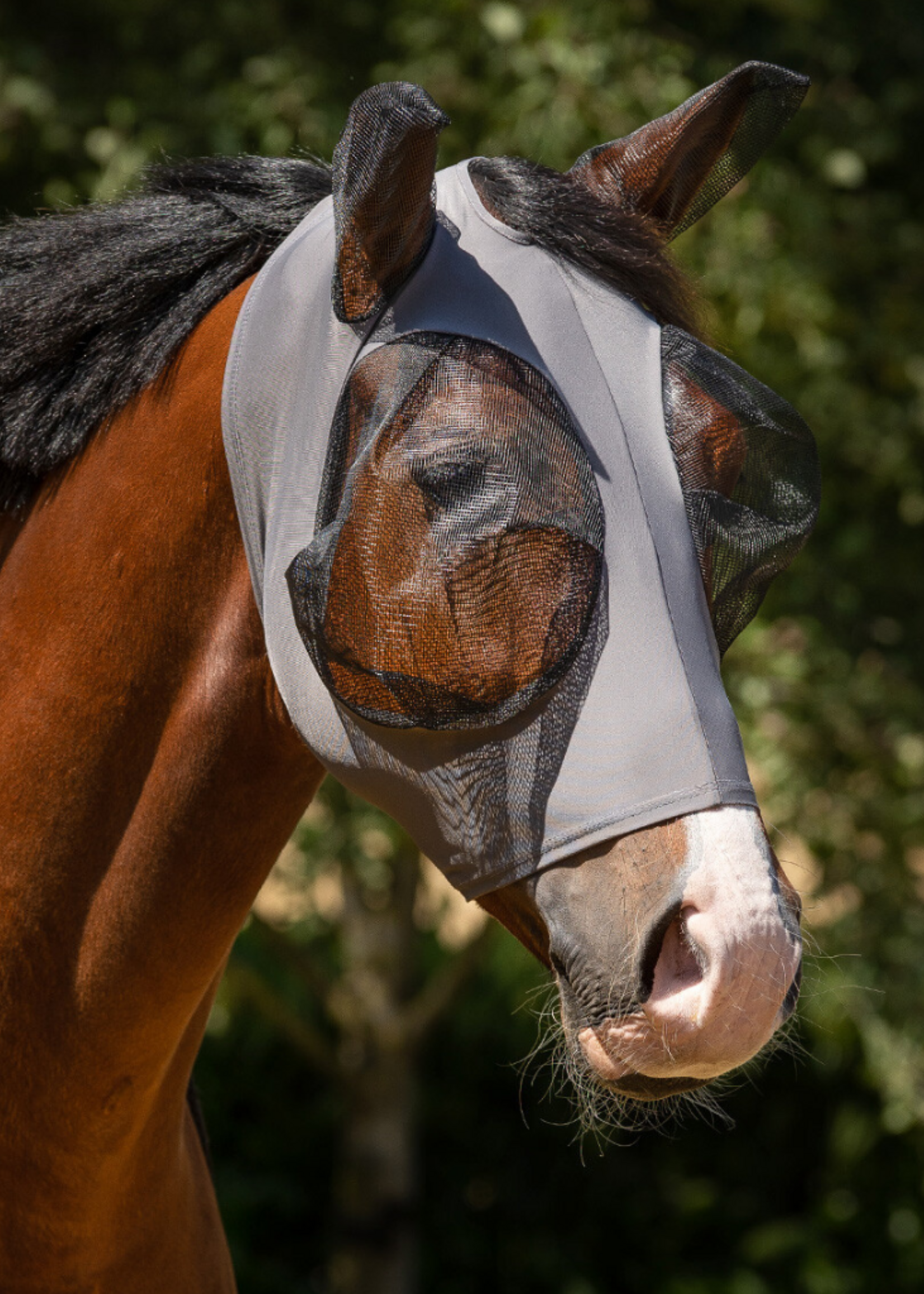 QHP QHP Super Bug Vliegenkap 5344