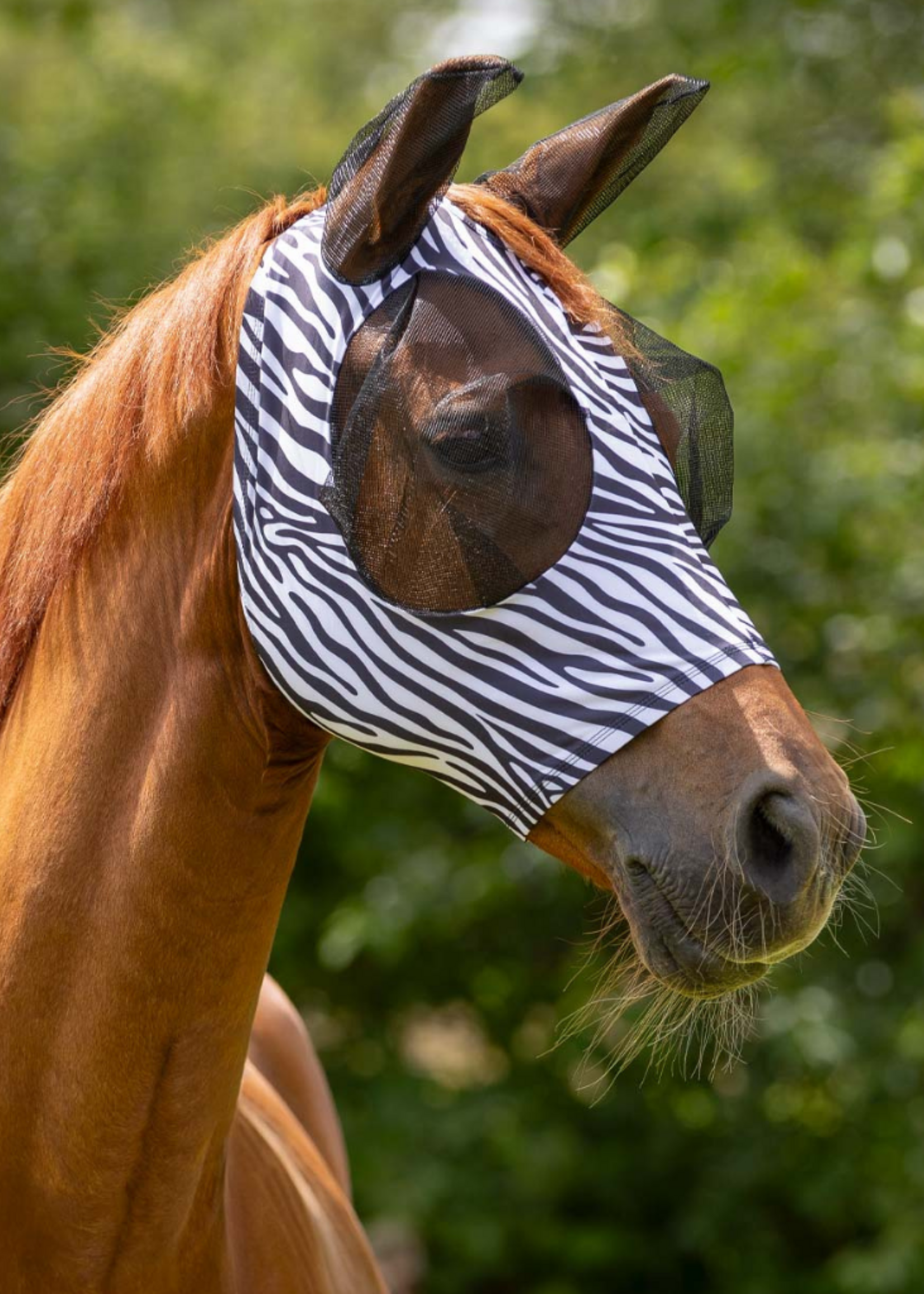 QHP QHP Super Bug Vliegenkap 5344