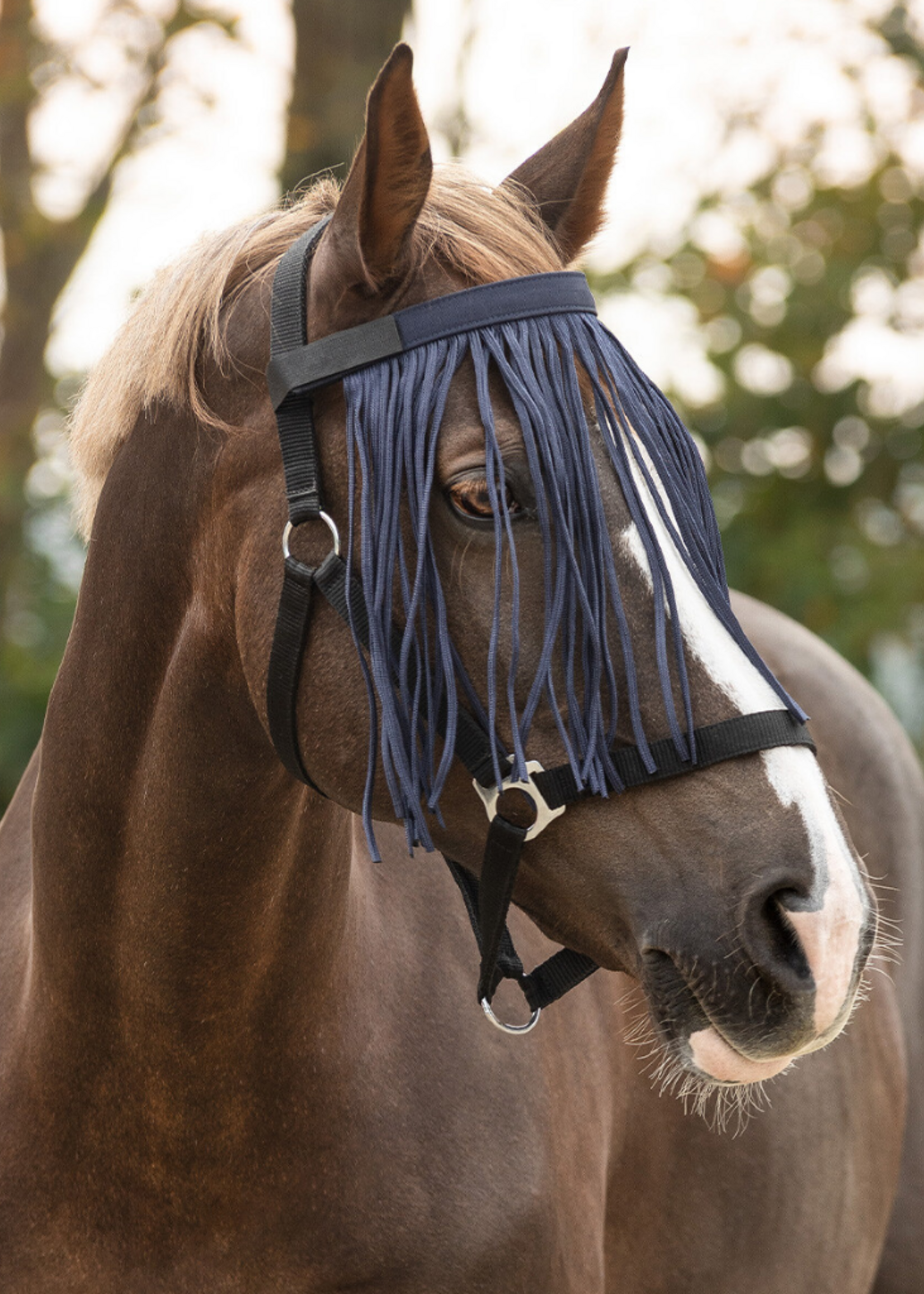 QHP QHP Vliegenfrontriem 5022