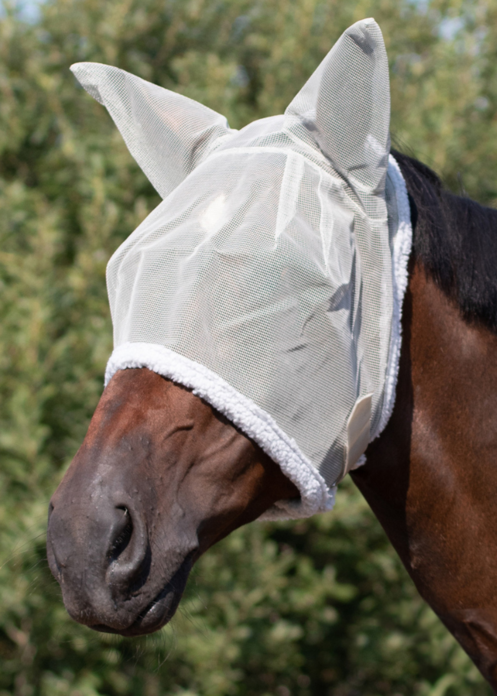 QHP QHP Vliegenkap met oren