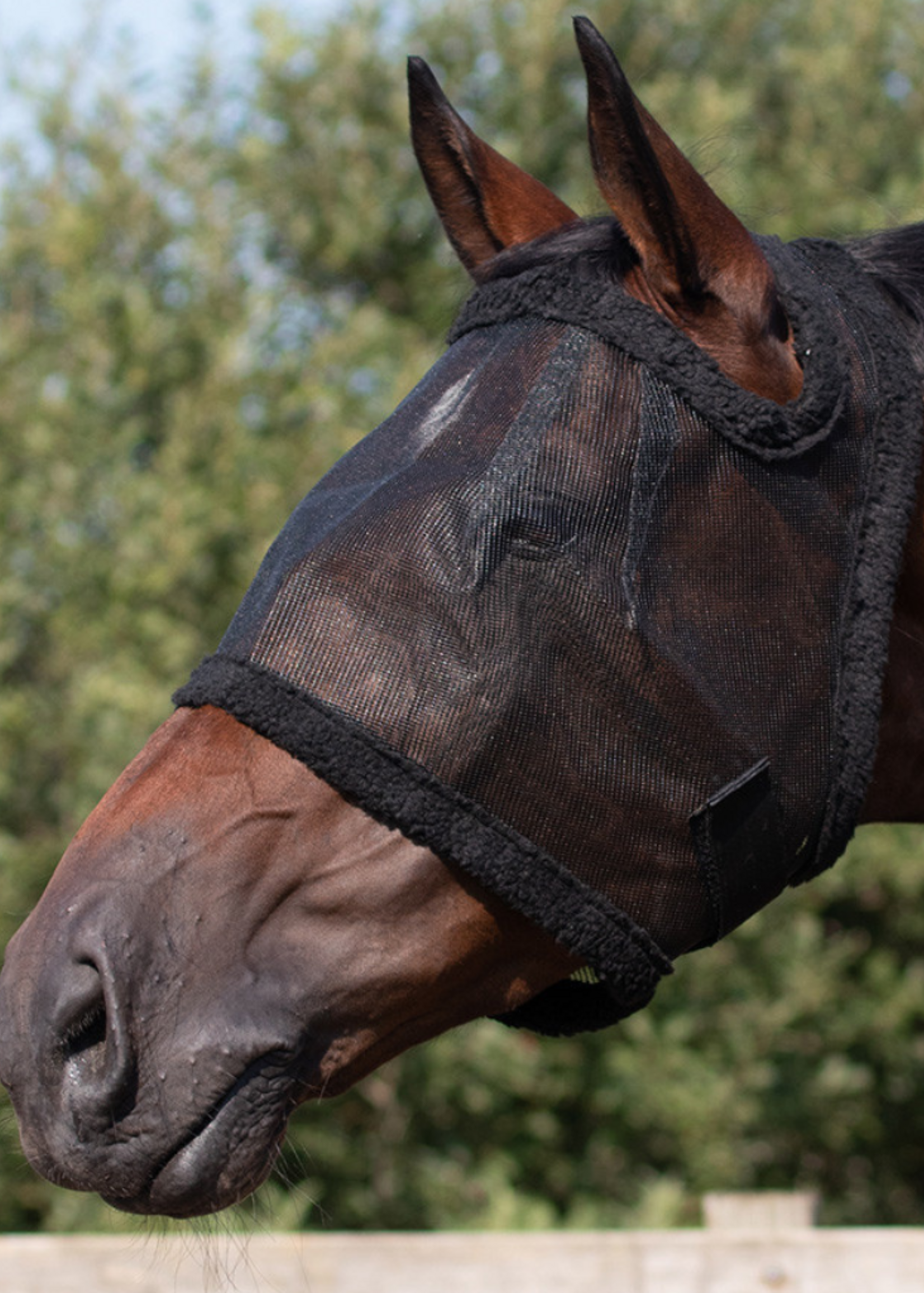 QHP QHP Vliegenkap zonder oren