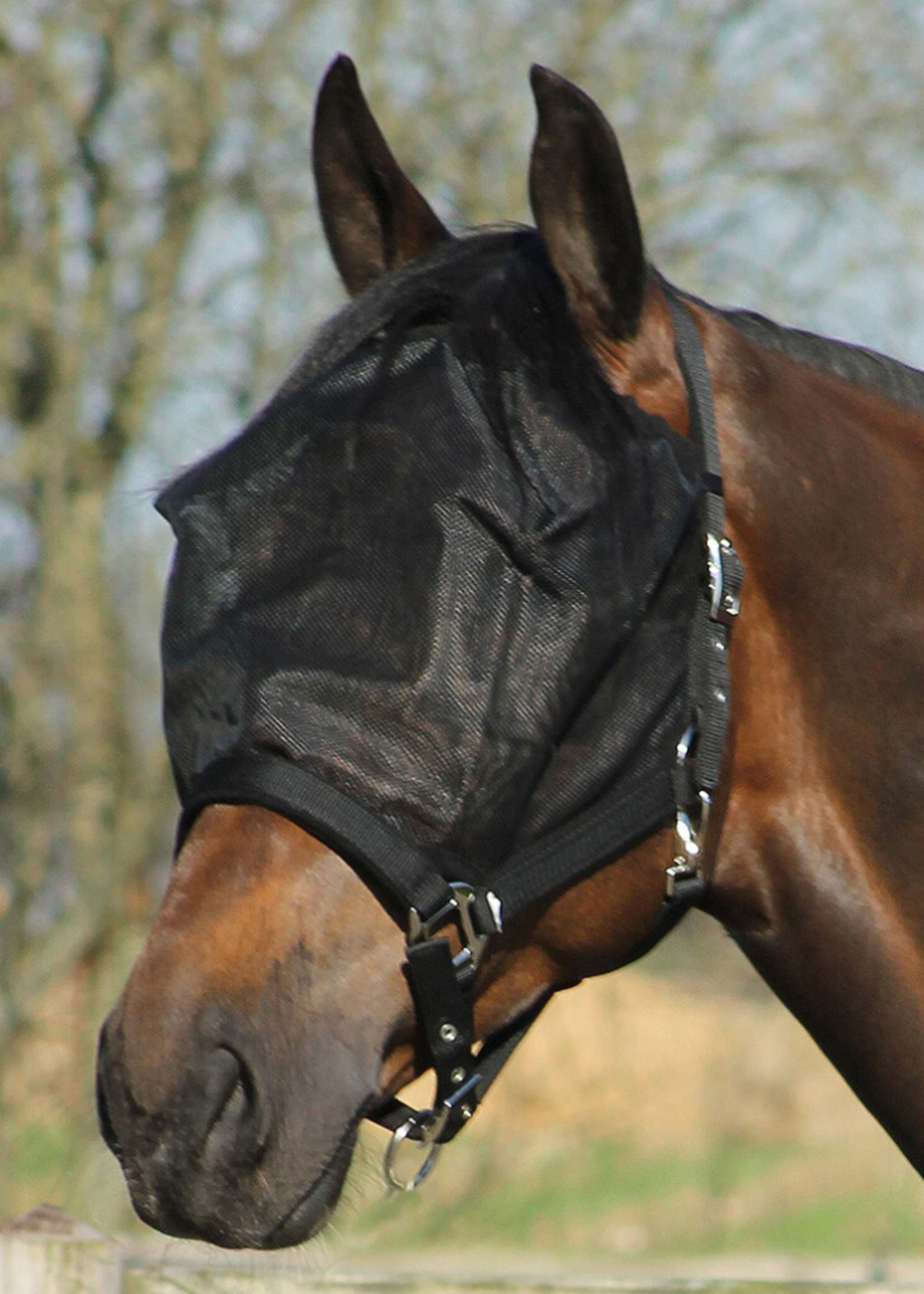 QHP QHP Vliegenmasker met Halster 1081