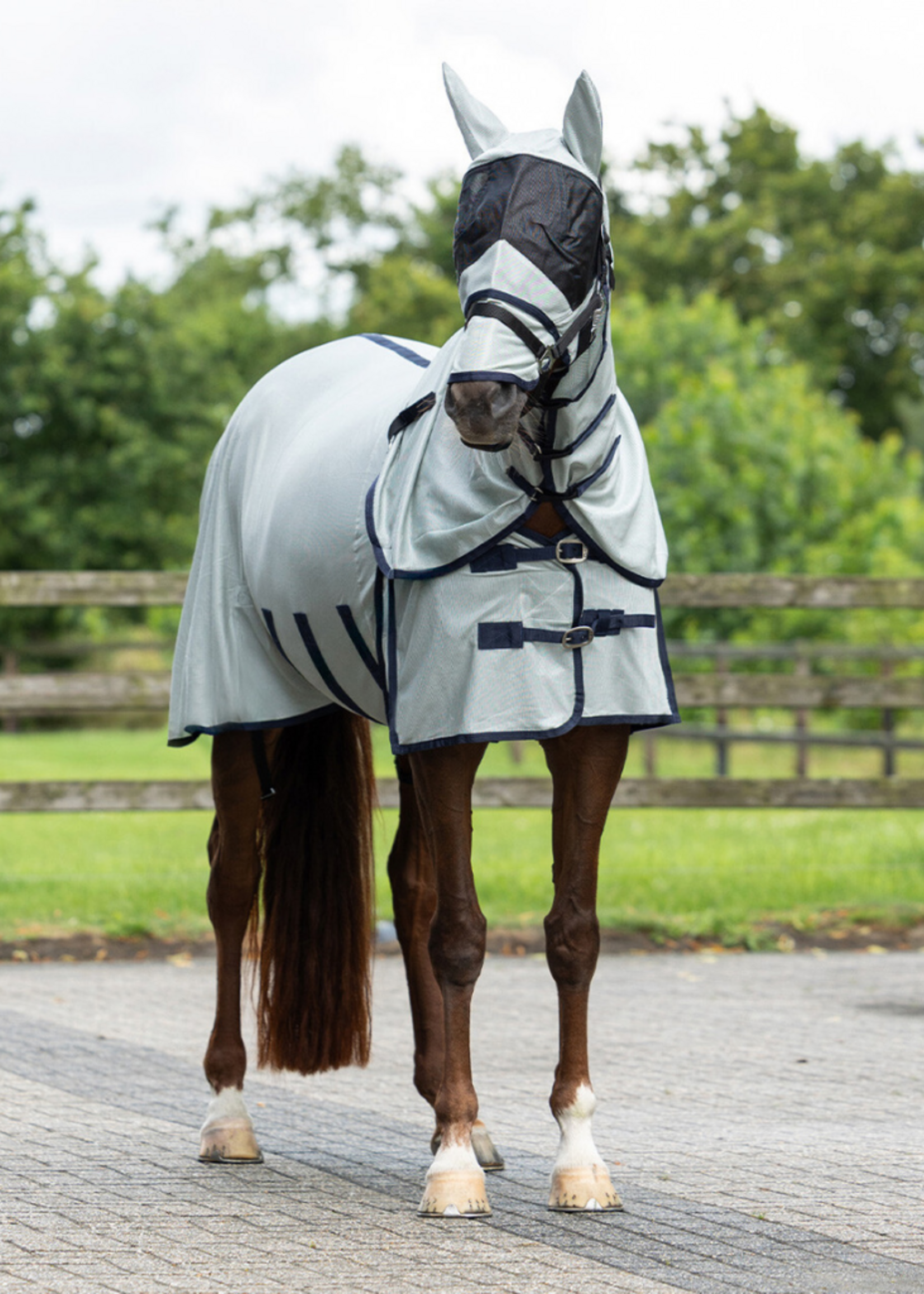 QHP QHP Vliegendeken met nek en kap