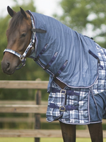 QHP Qhp Vliegendeken met nek en kap