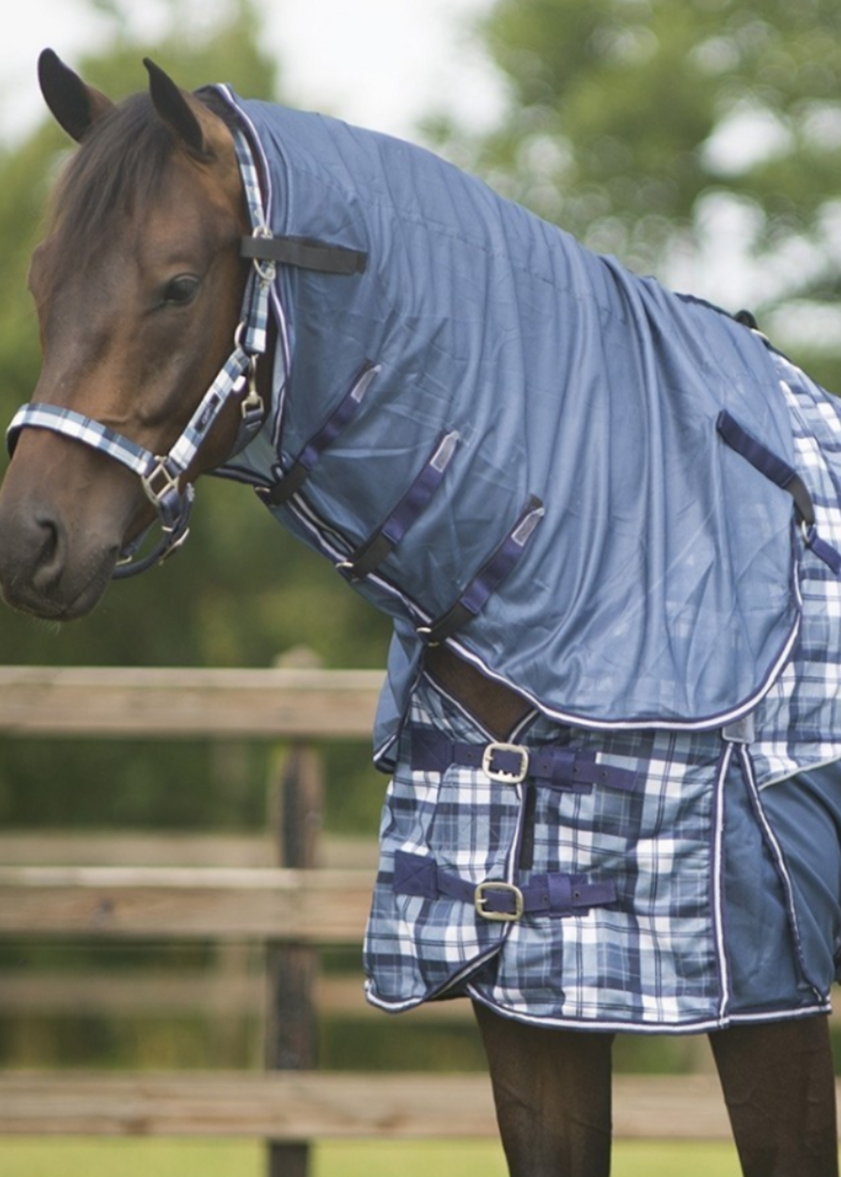 QHP Qhp Vliegendeken met nek en kap