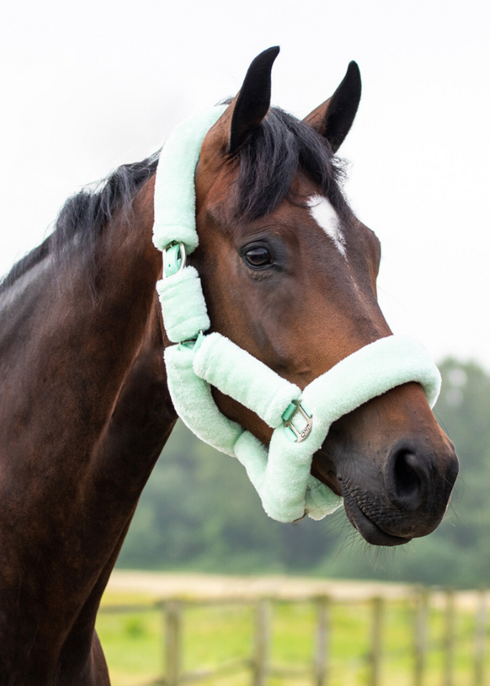 QHP QHP Alaska Bont Halster 1097