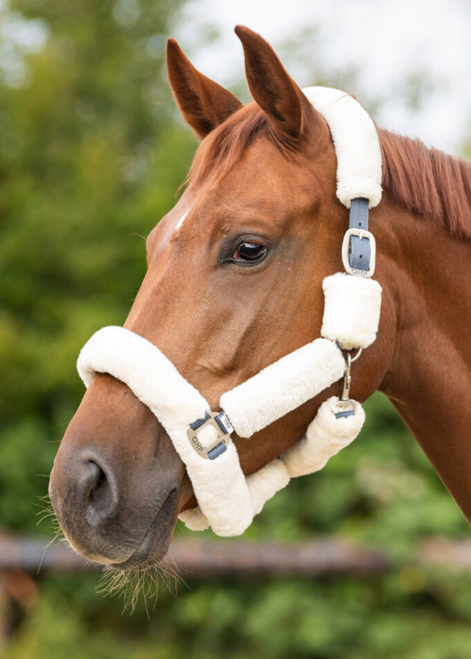 QHP QHP Alaska Bont Halster 1097