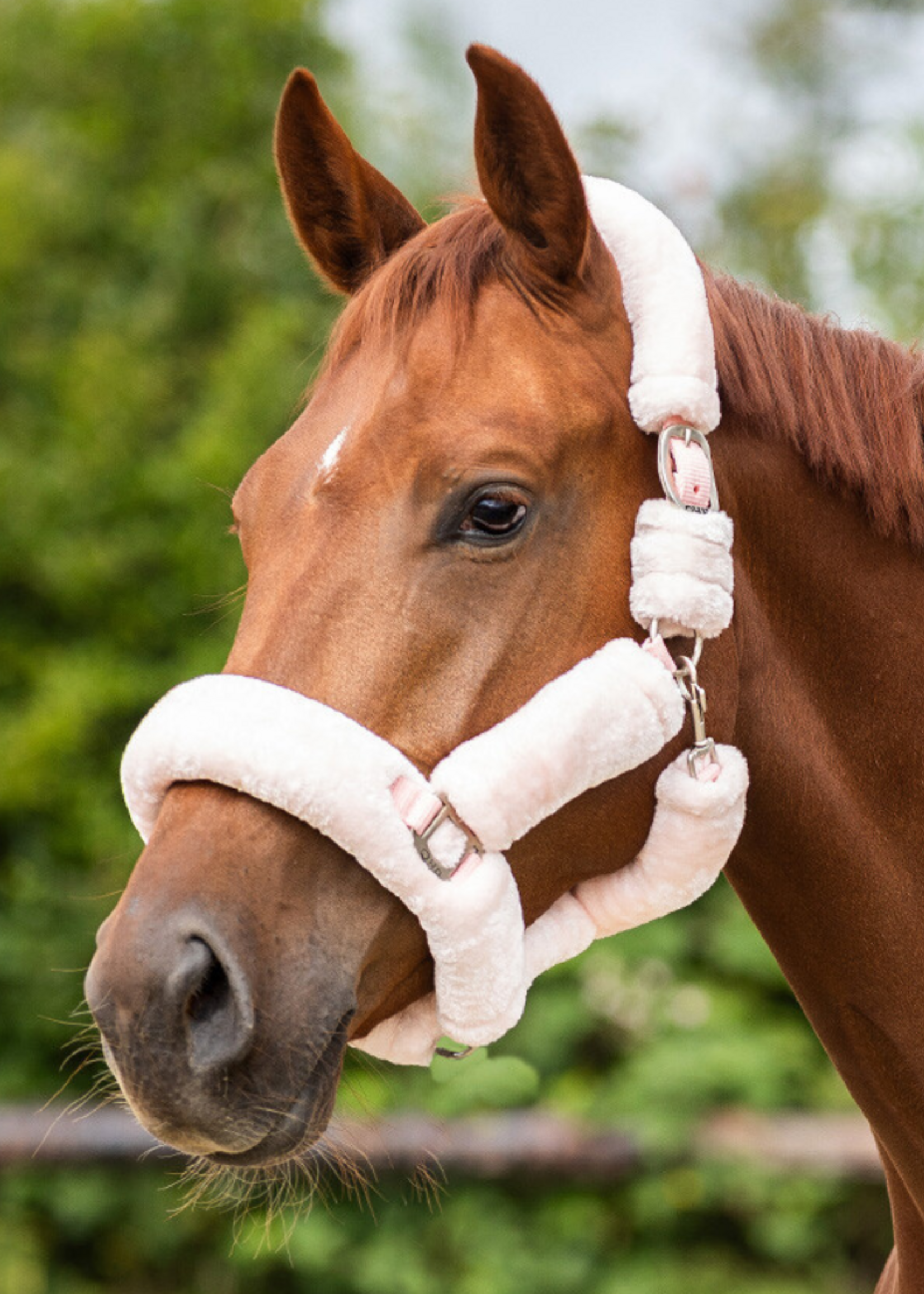 QHP QHP Alaska Bont Halster 1097