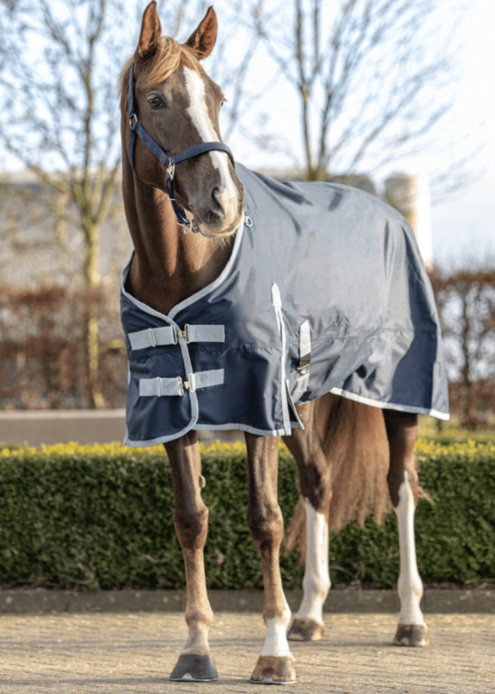 QHP QHP Waterdichte Deken 0gr