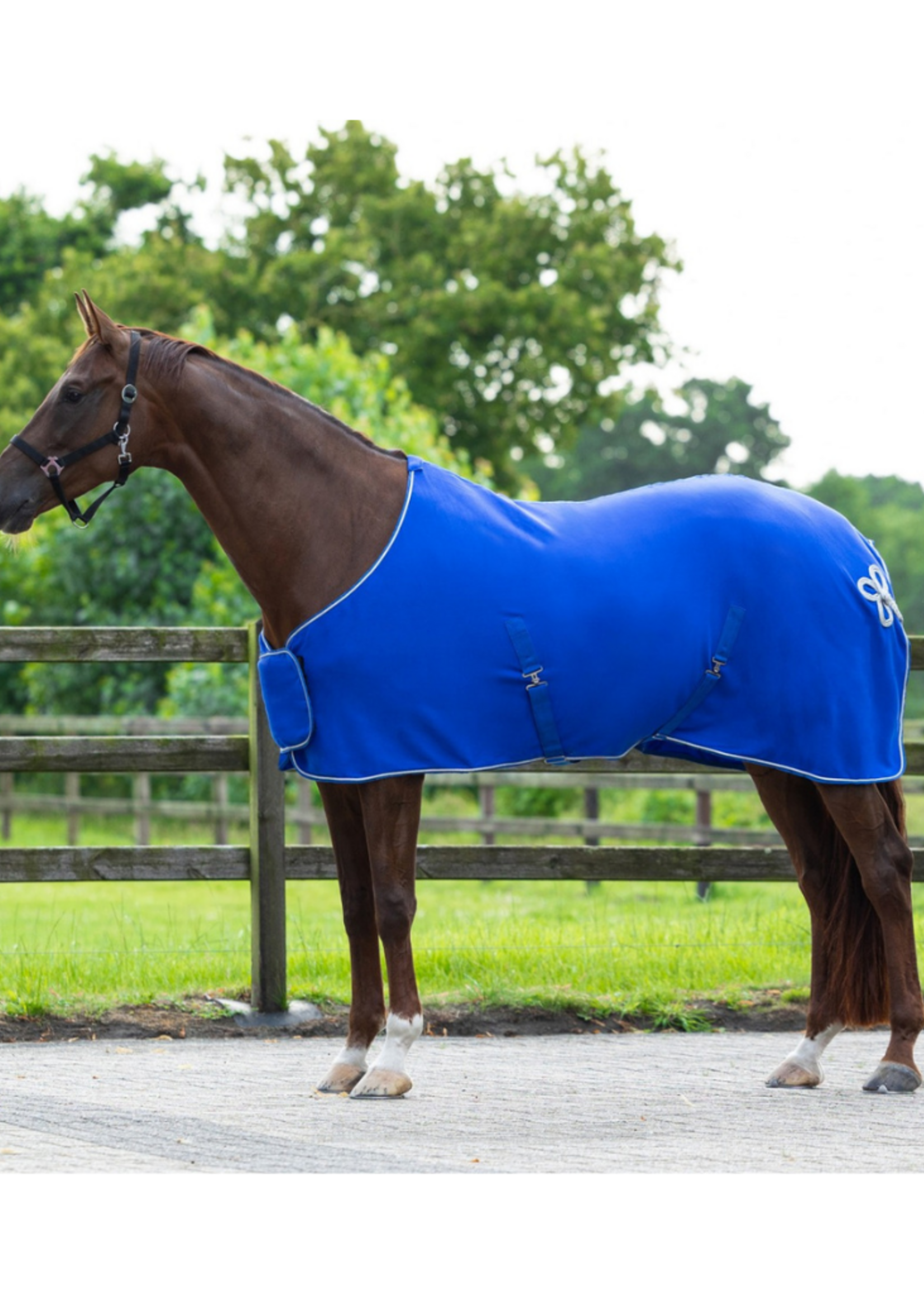 QHP QHP Fleece Ornament  Deken 6014