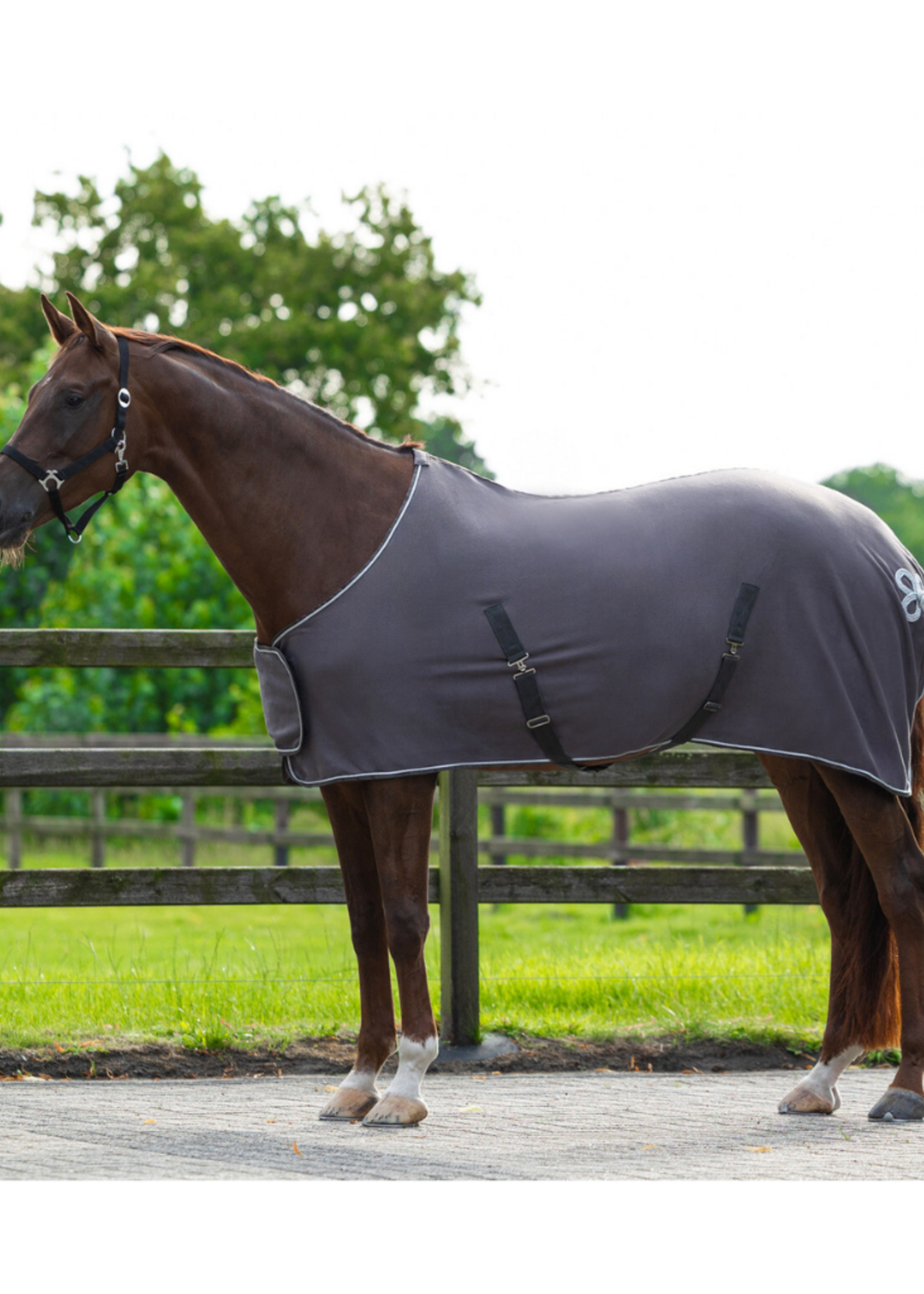 QHP QHP Fleece Ornament  Deken 6014